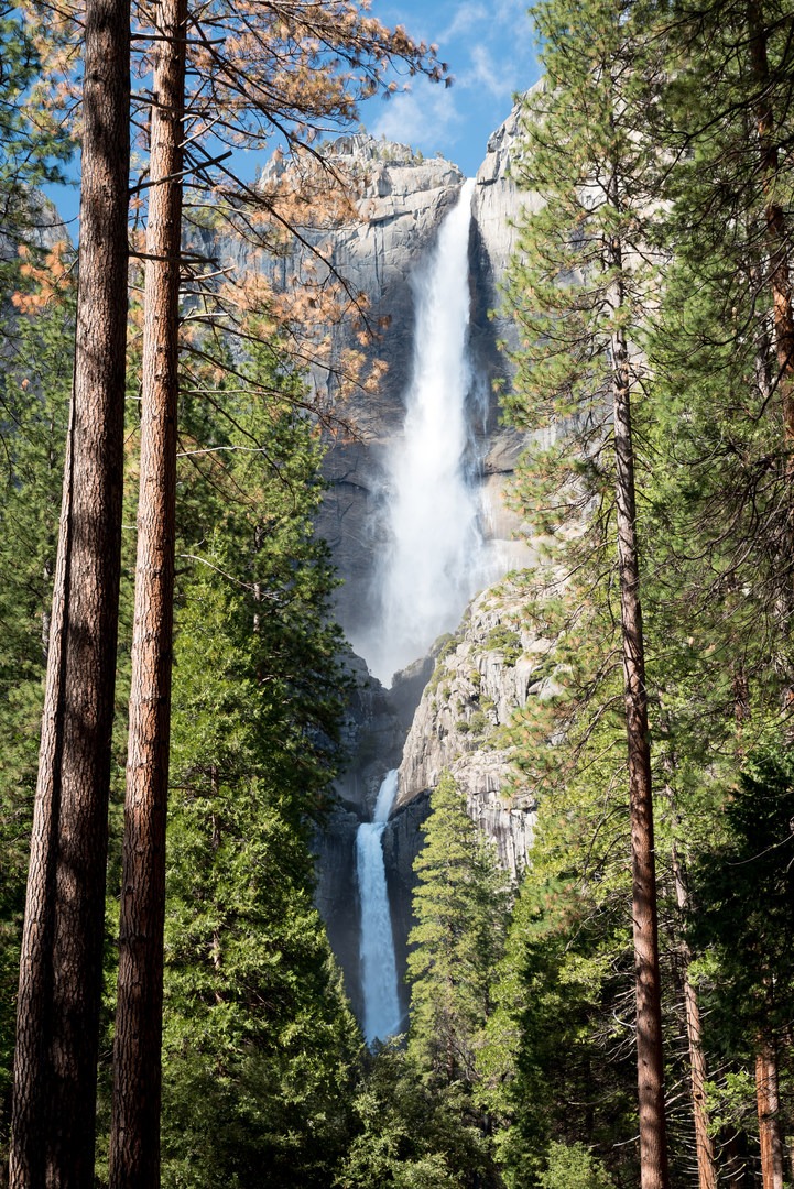 Lower Yosemite Falls Outdoor Project