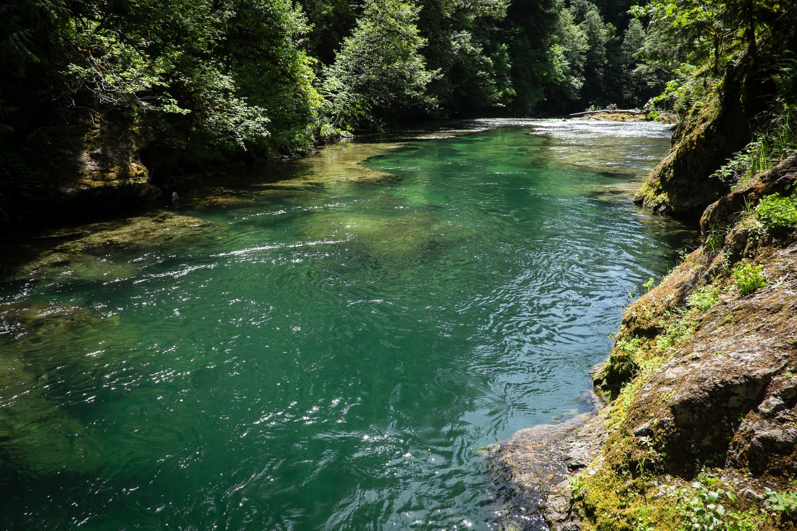 Salmon Creek Falls Campground Outdoor Project