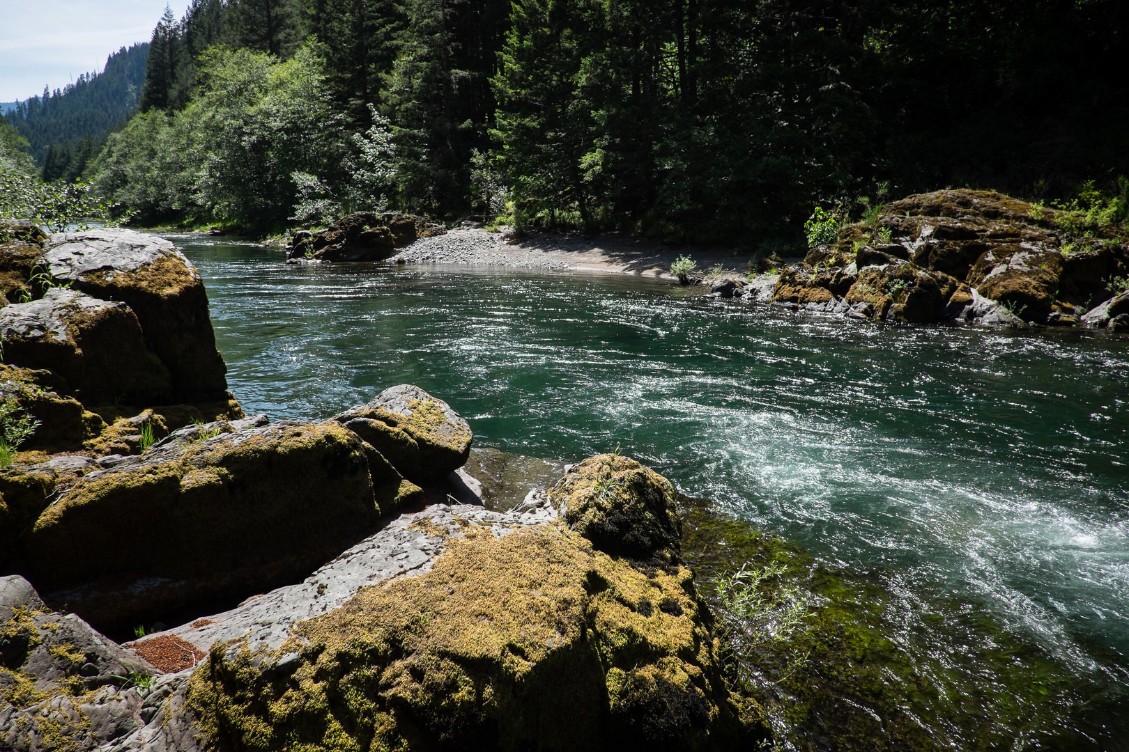 North Fork Middle Fork Willamette Swimming Hole 1.4 Outdoor Project