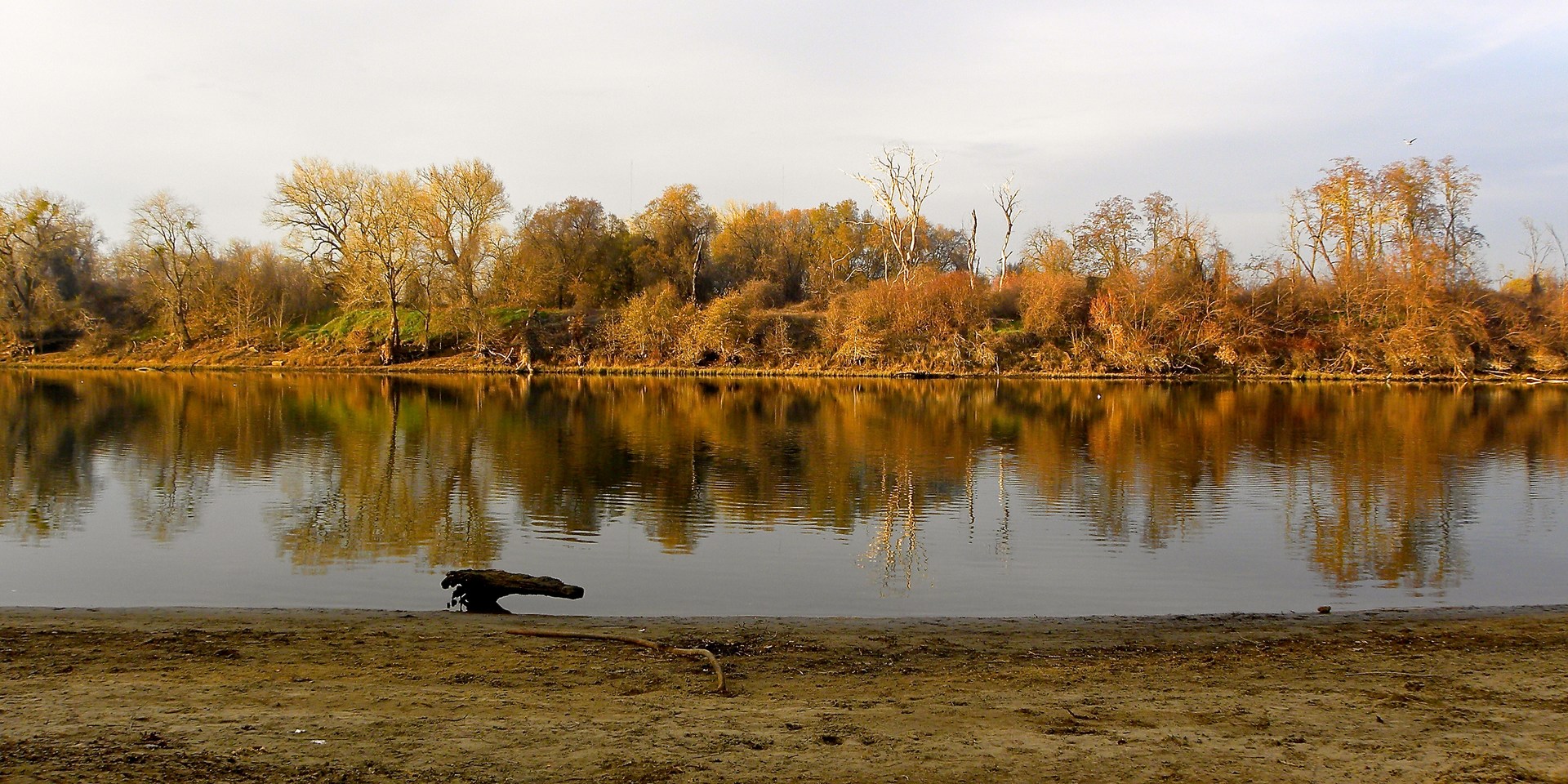 Sutter's Landing Regional Park | Outdoor Project