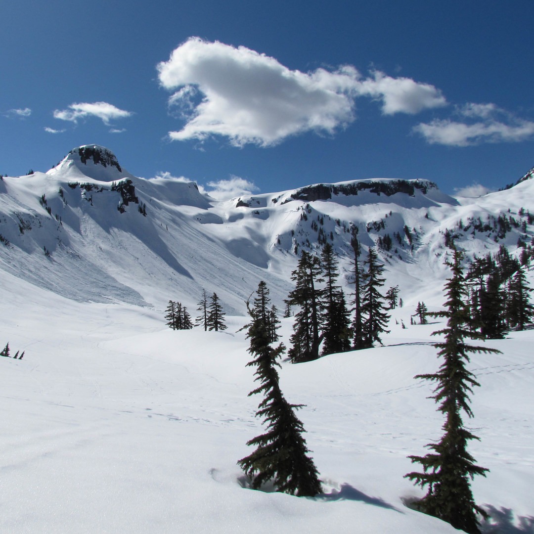 Artist Point Outdoor Project