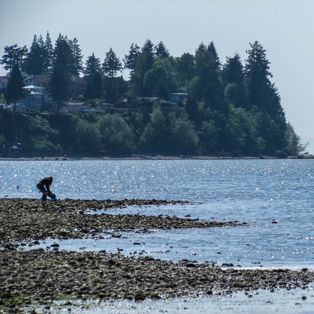 Birch Bay State Park Campground Map - Printable Maps Online