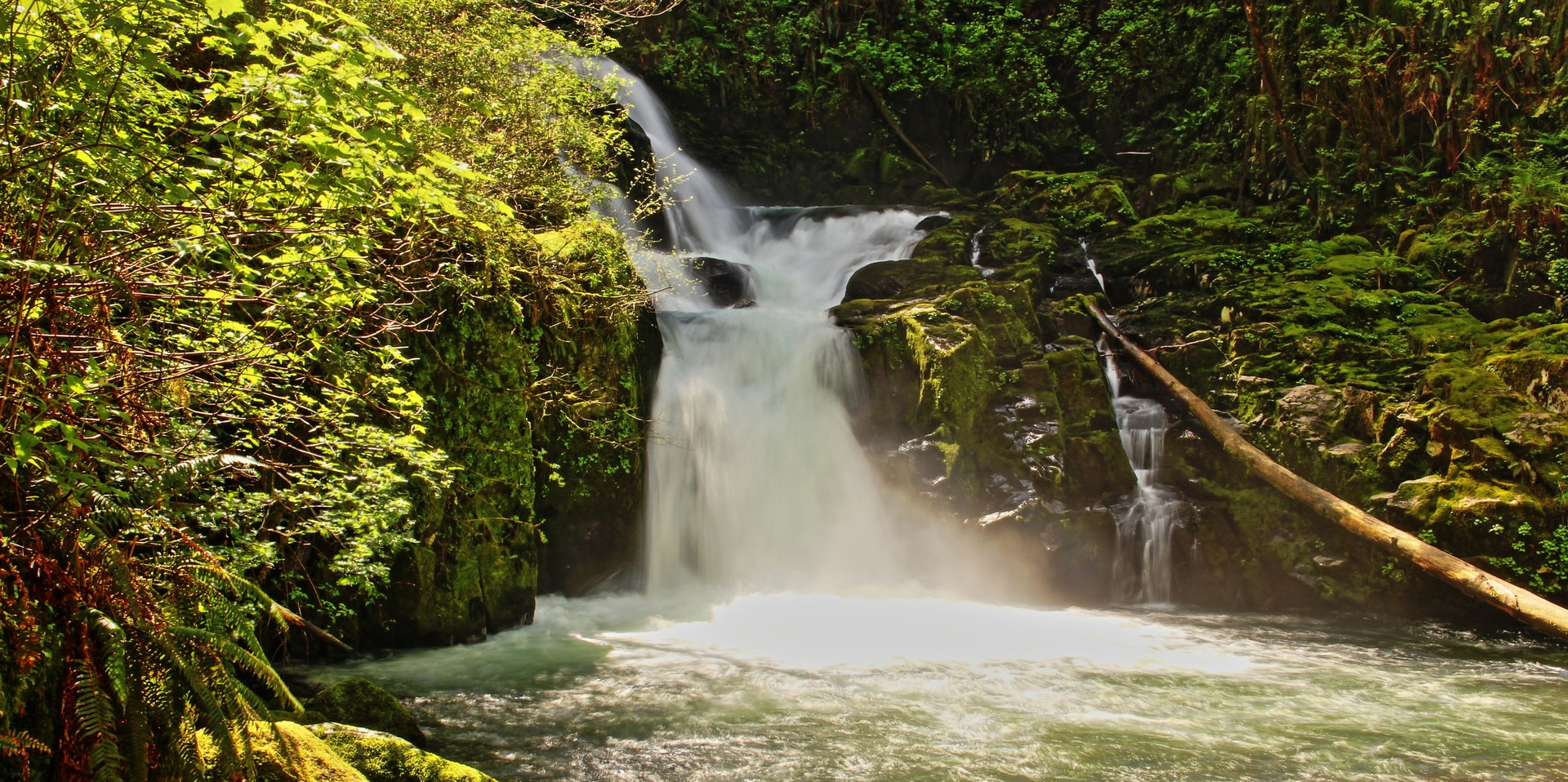 Sweet Creek Hike | Outdoor Project