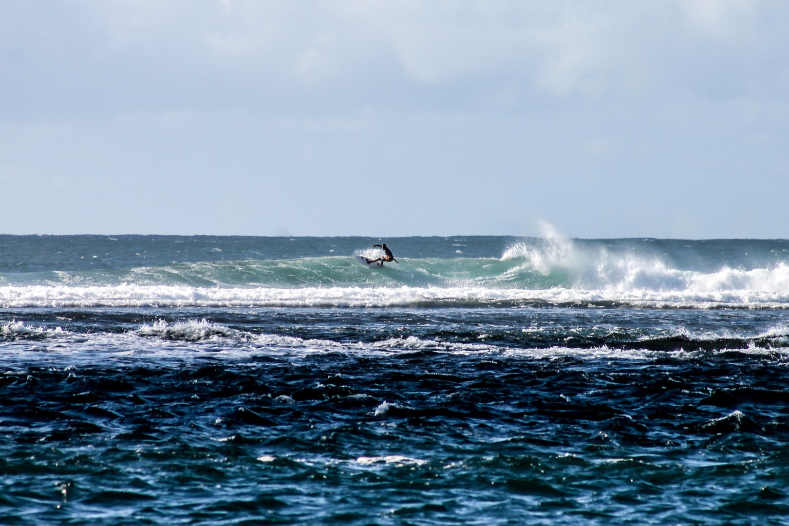 Tunnels Beach Kauai Sharks: A Comprehensive Guide to Safety and Exploration