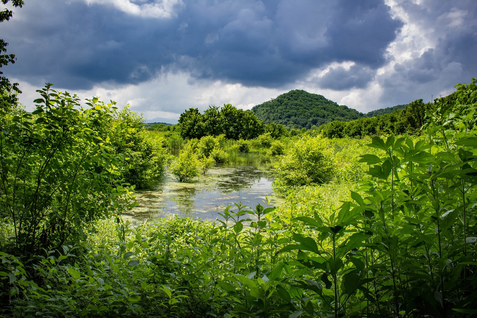 Seven Islands State Birding Park Outdoor Project 