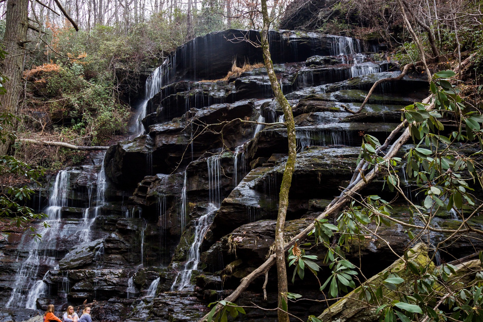 Yellow Branch Falls: A Majestic Waterfall with Enchanting Beauty ...