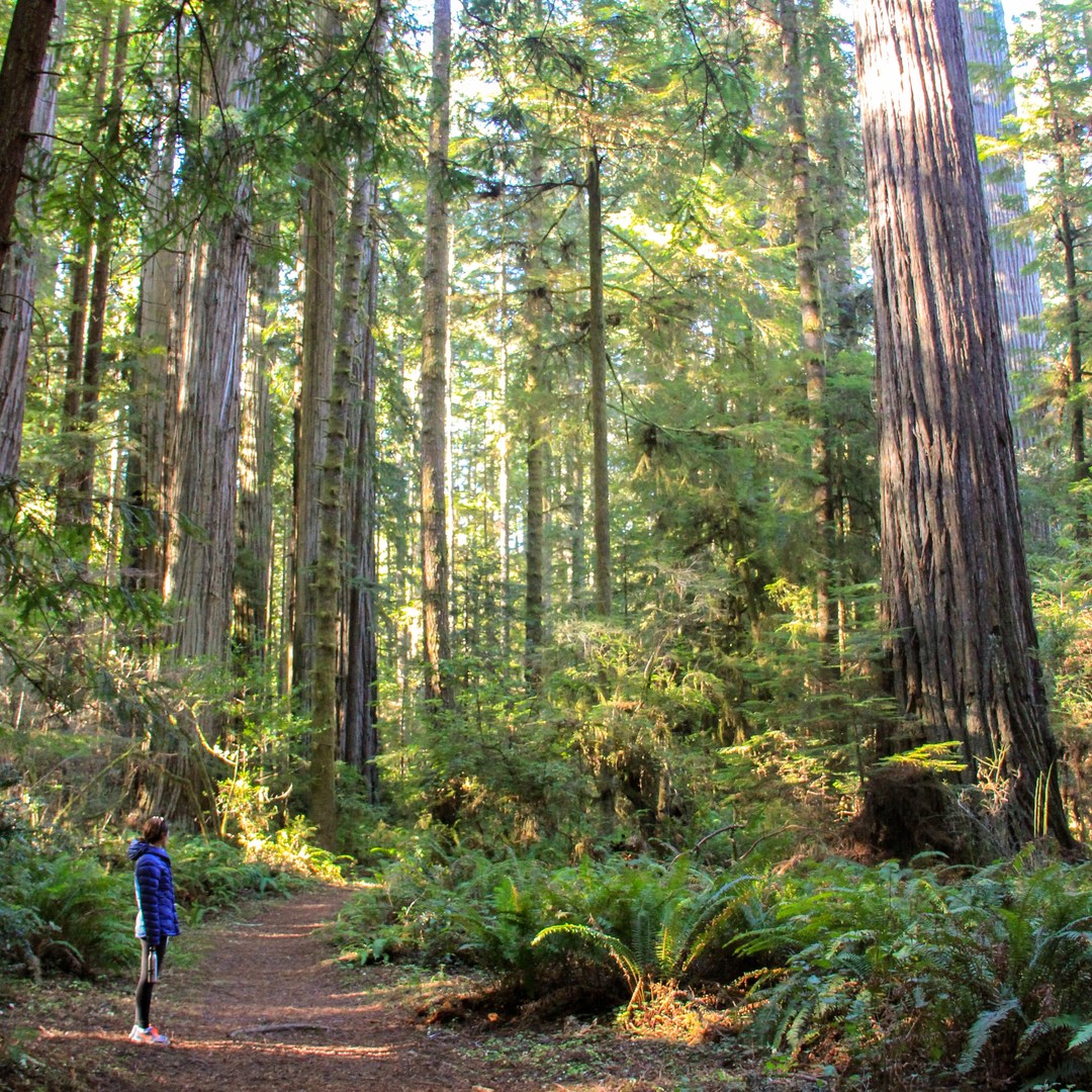 Leiffer + Ellsworth Loop Trails | Outdoor Project