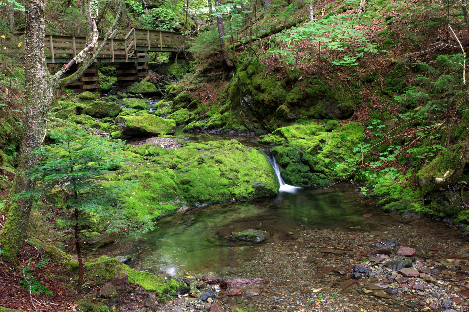 Fundy National Park | Outdoor Project