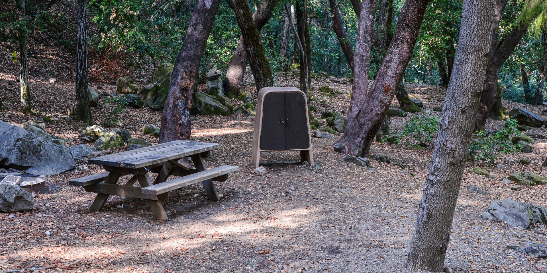 Uvas Canyon County Park Campground Outdoor Project