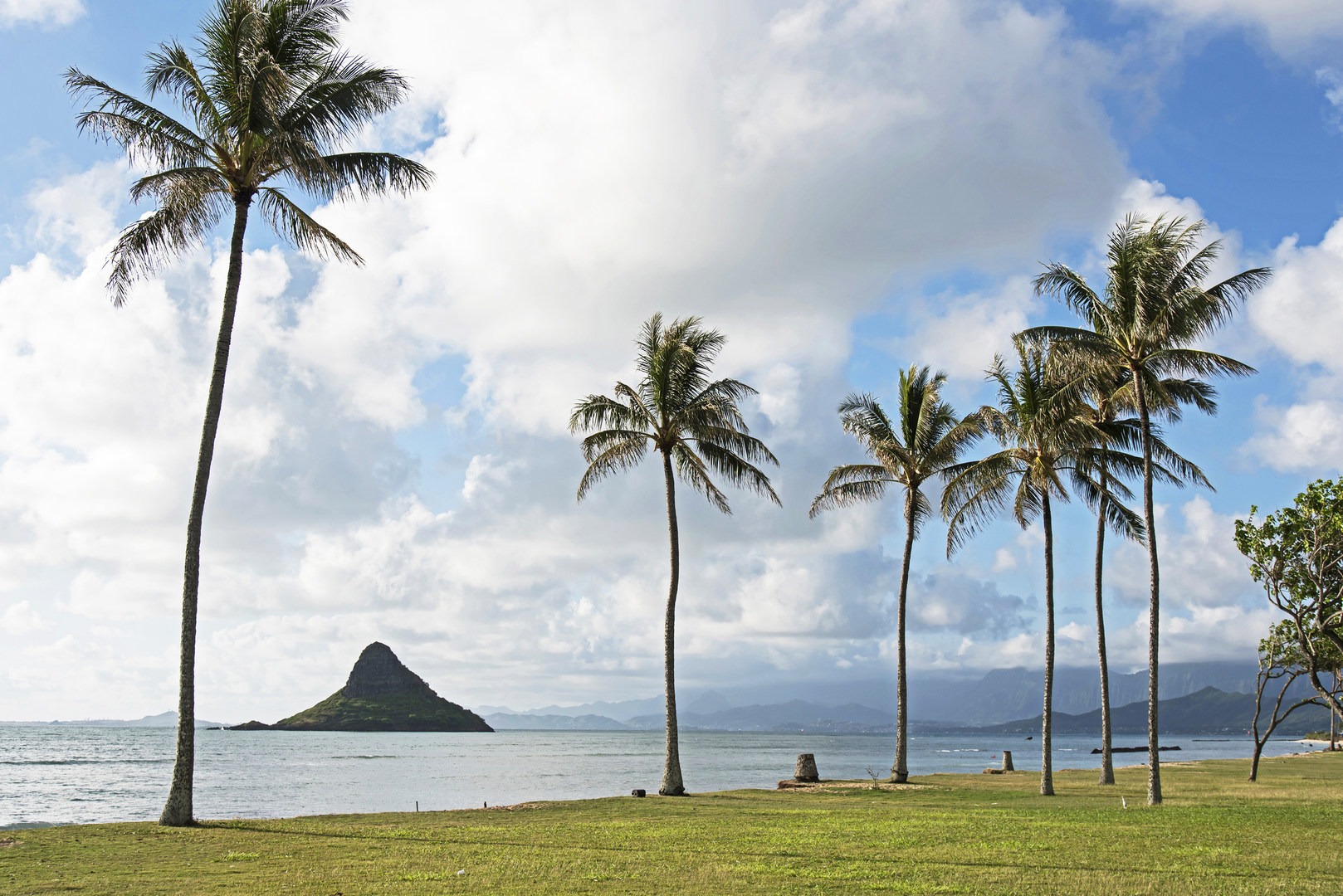 are dogs allowed at kualoa beach park