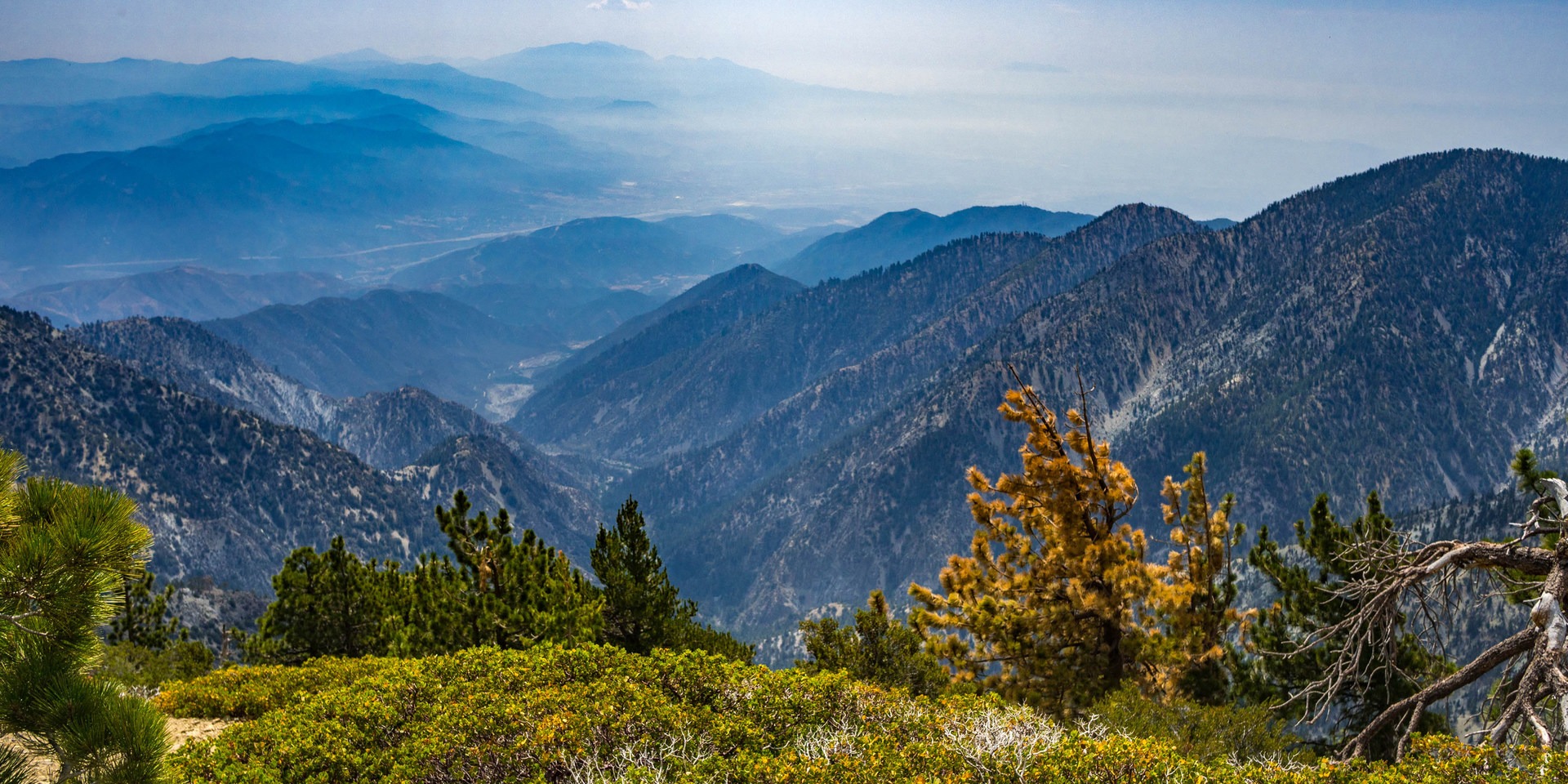 Three T's Trail (Timber , Telegraph + Thunder Mountain) | Outdoor Project