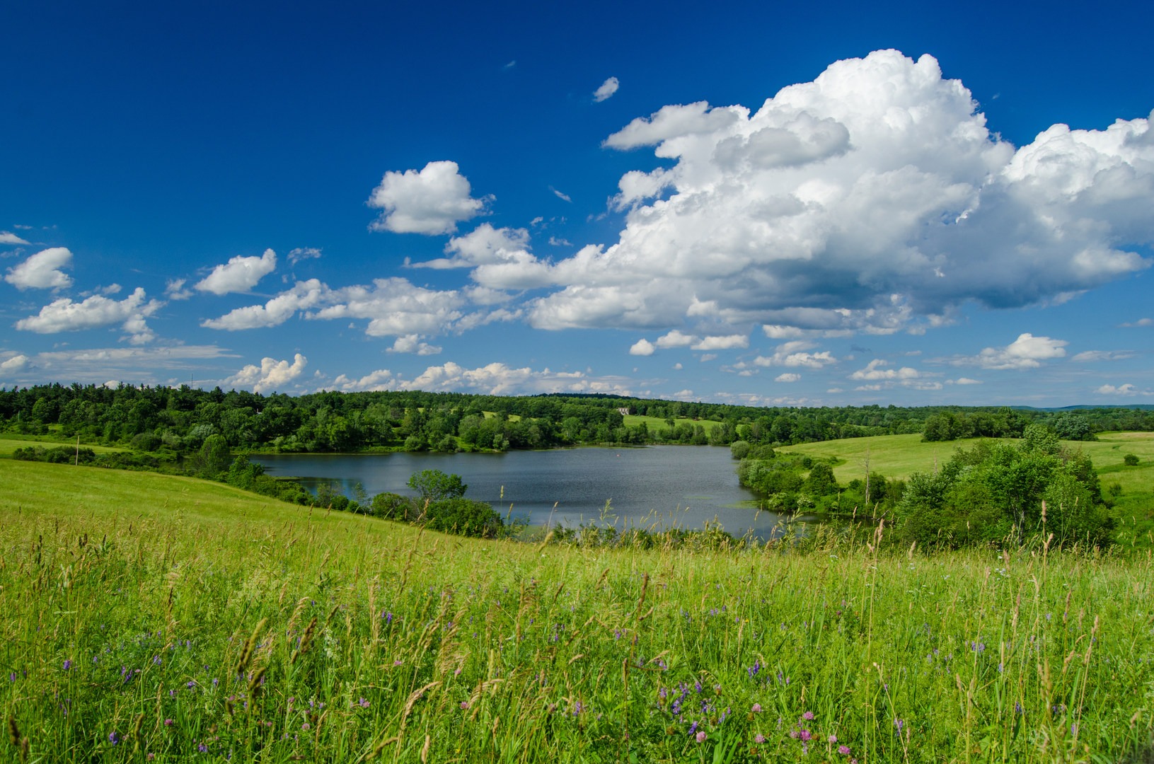 Ooms Conservation Area at Sutherland Pond | Outdoor Project