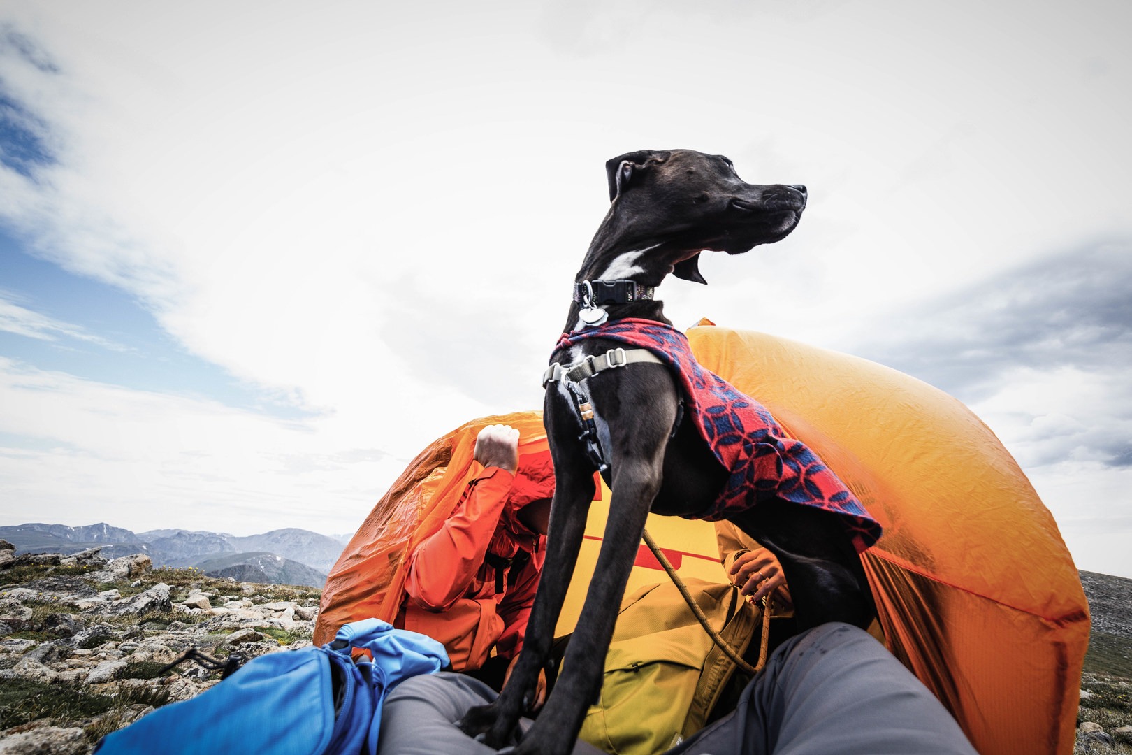 Rab superlite store shelter 2