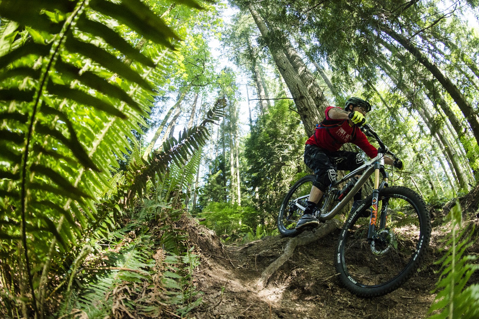 forestry commission mountain biking