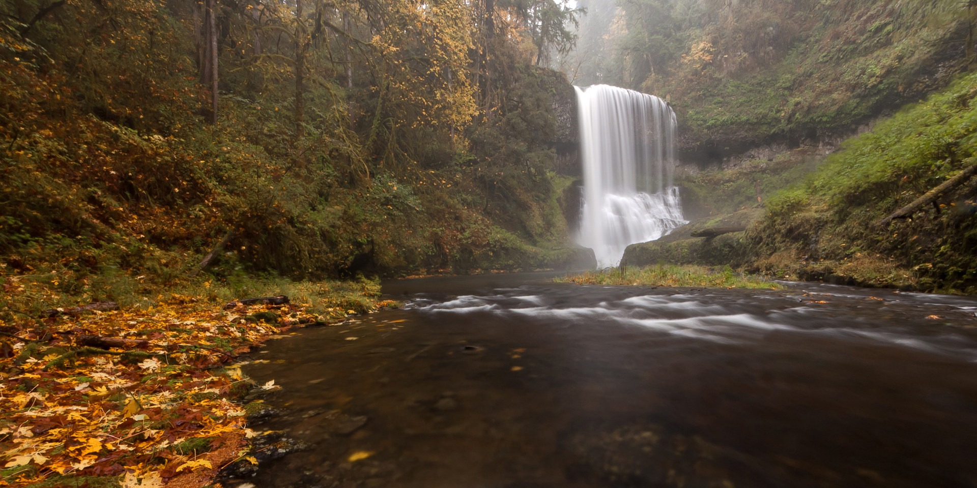 6 Stunning Fall Foliage Hikes in Oregon - Clever Neighbor