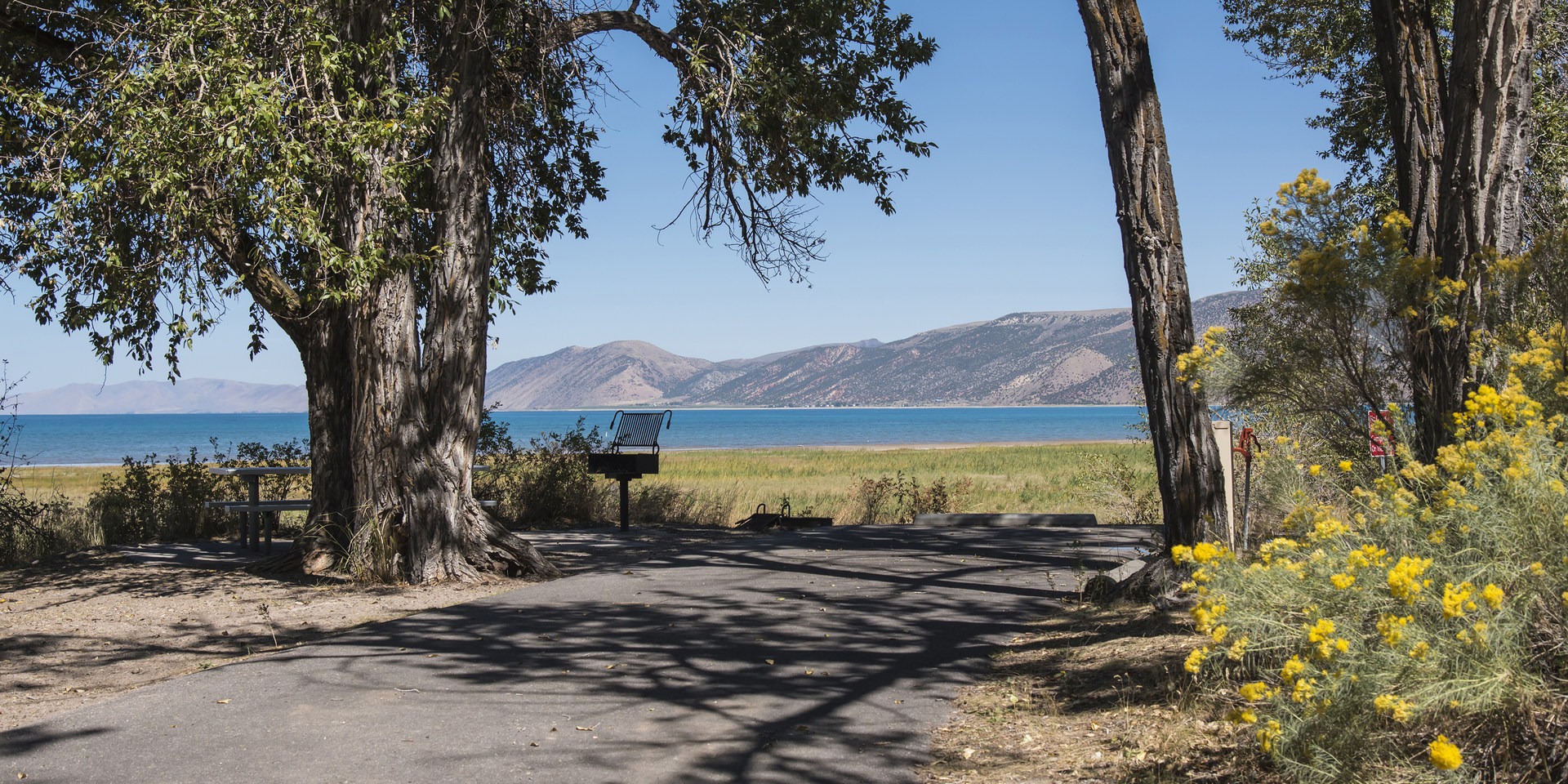 Bear lake camping new arrivals