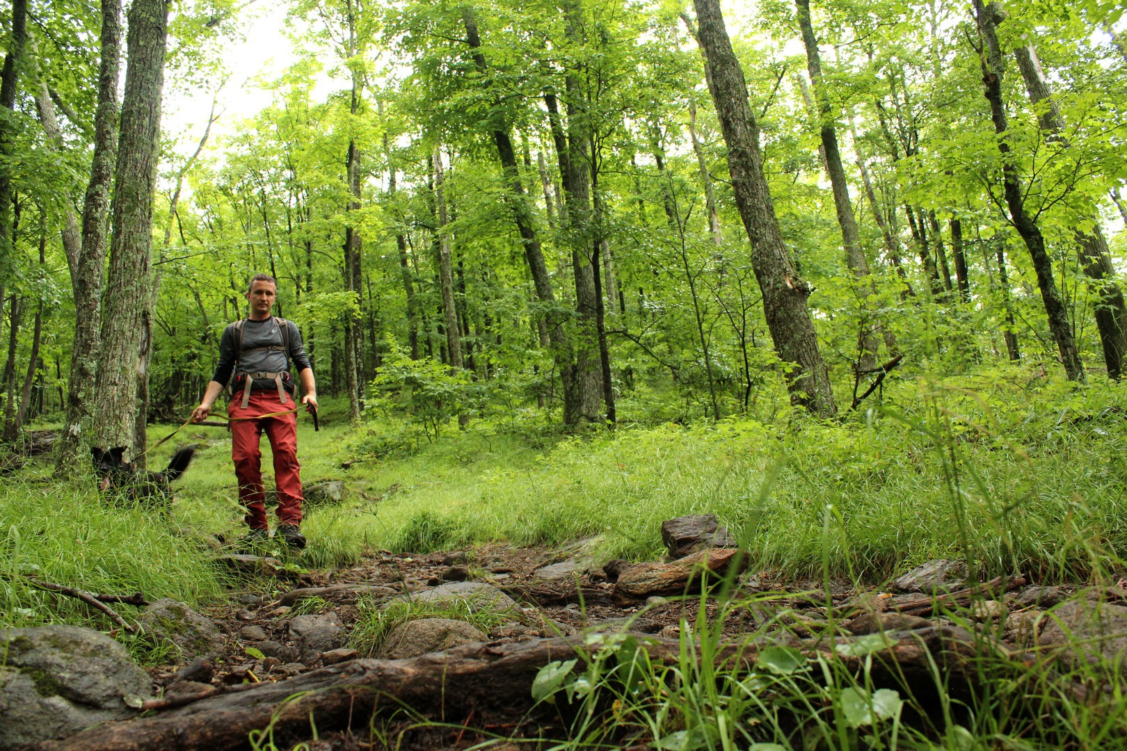 Exploring Chimney Mountain in the Adirondacks | Outdoor Project