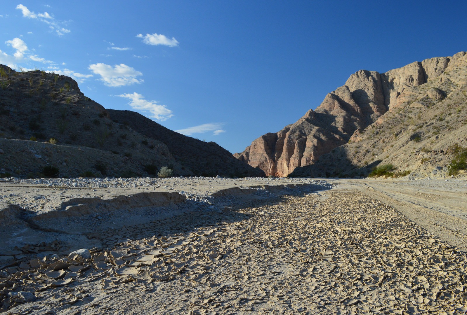 Anza Borrego Desert State Park Outdoor Project 2645