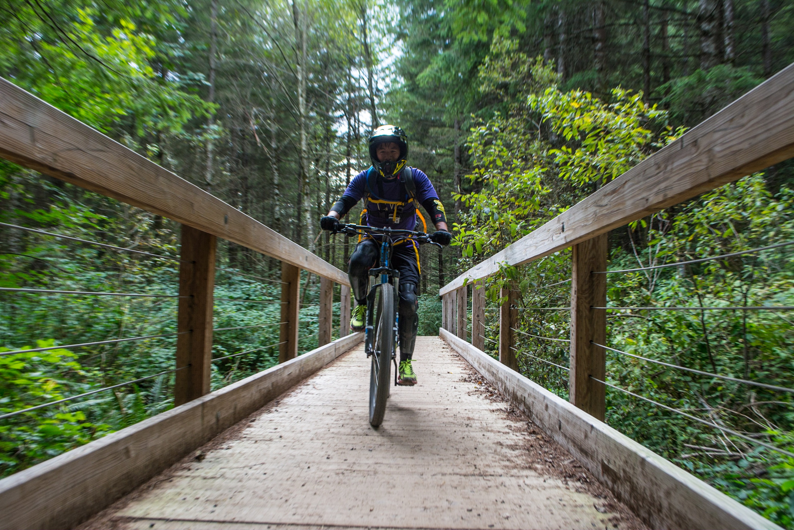 Tiger mountain best sale bike trails