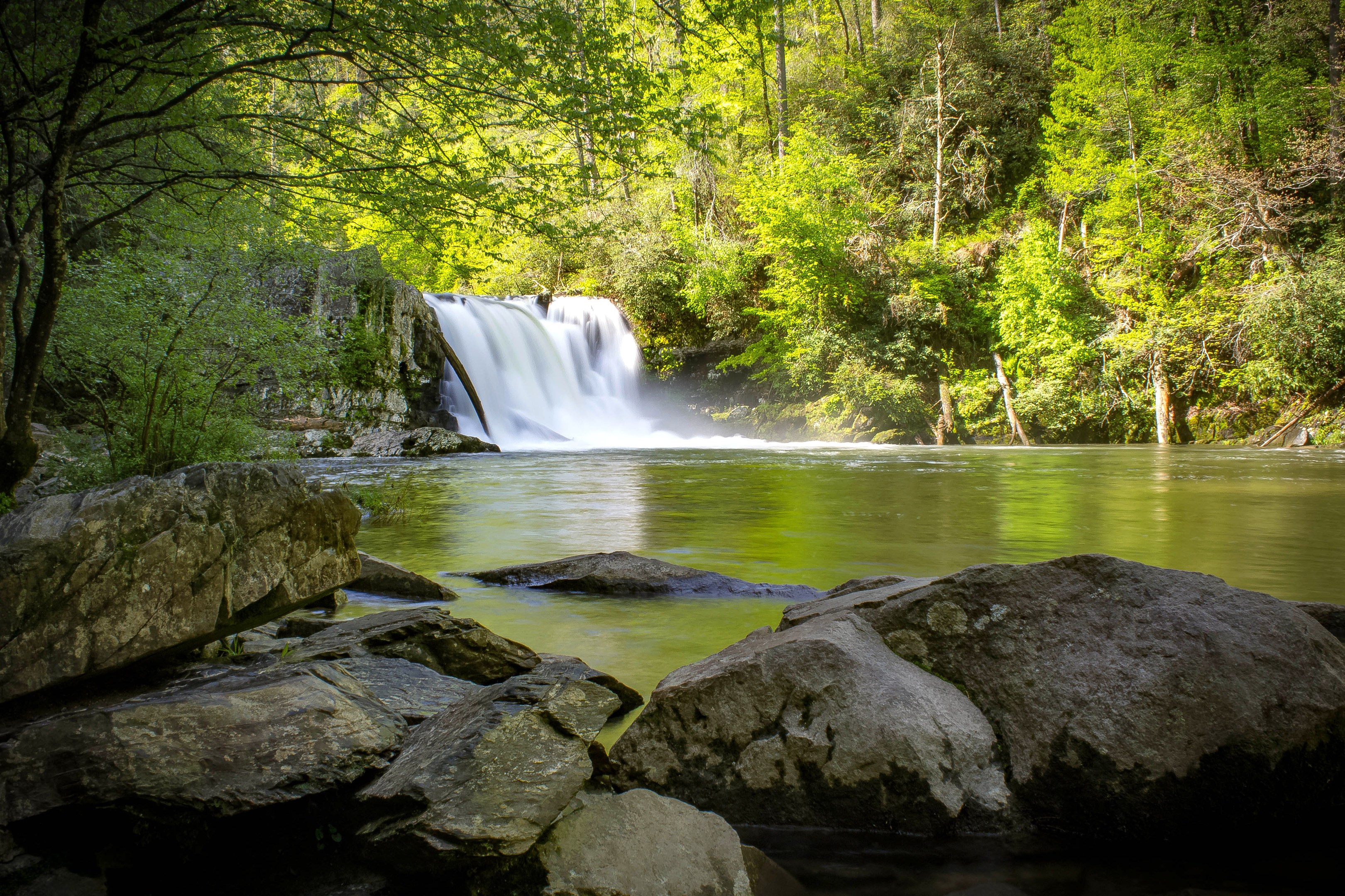 Abrams falls campground best sale