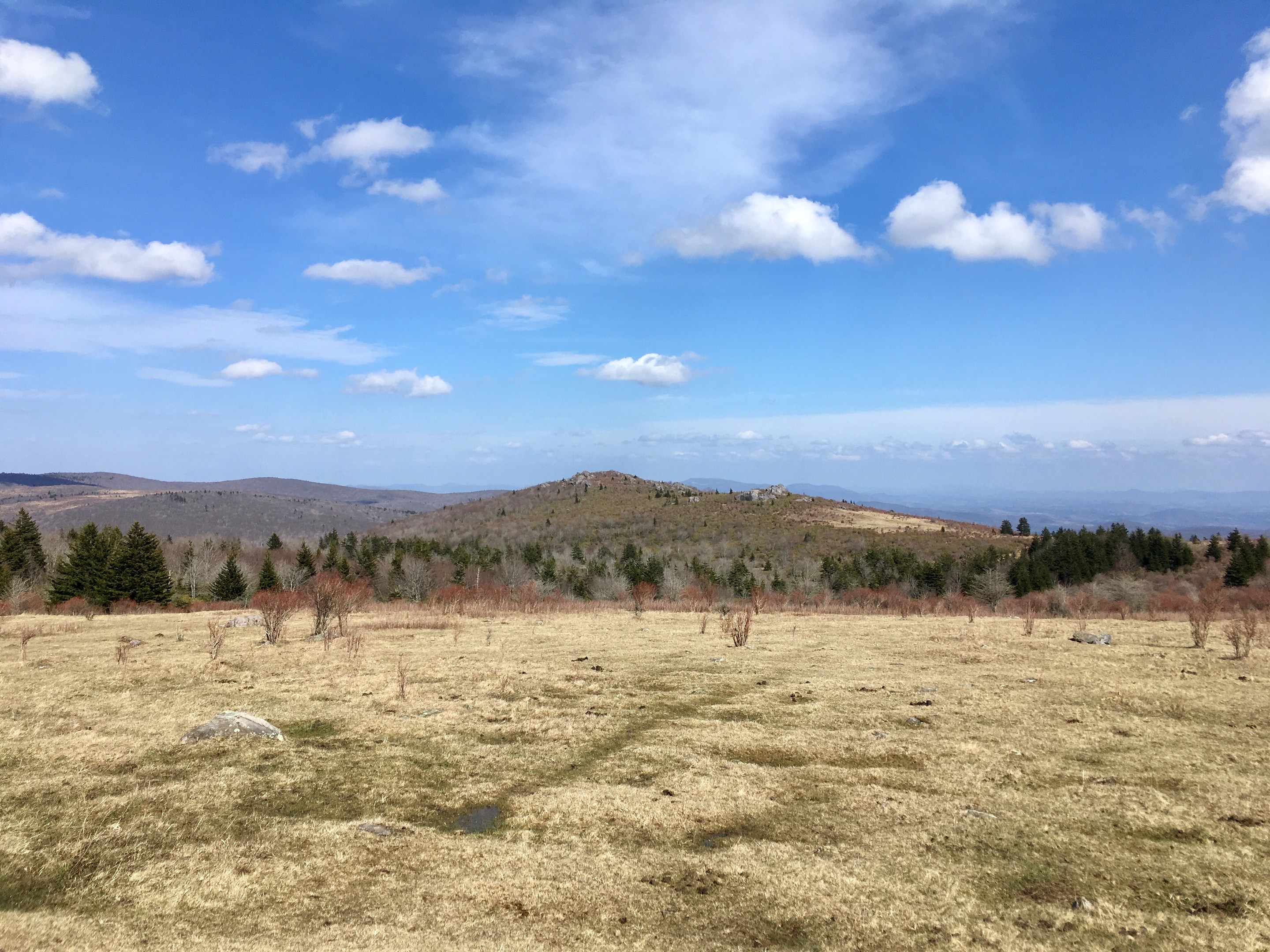 Grayson highlands backcountry clearance camping