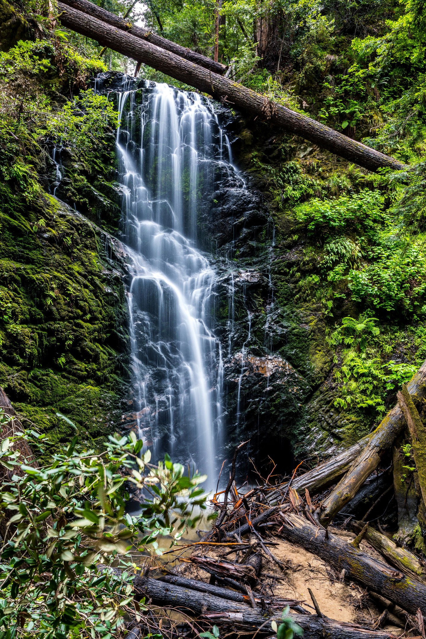 Berry Creek Falls Loop via Big Basin Headquarters Outdoor Project