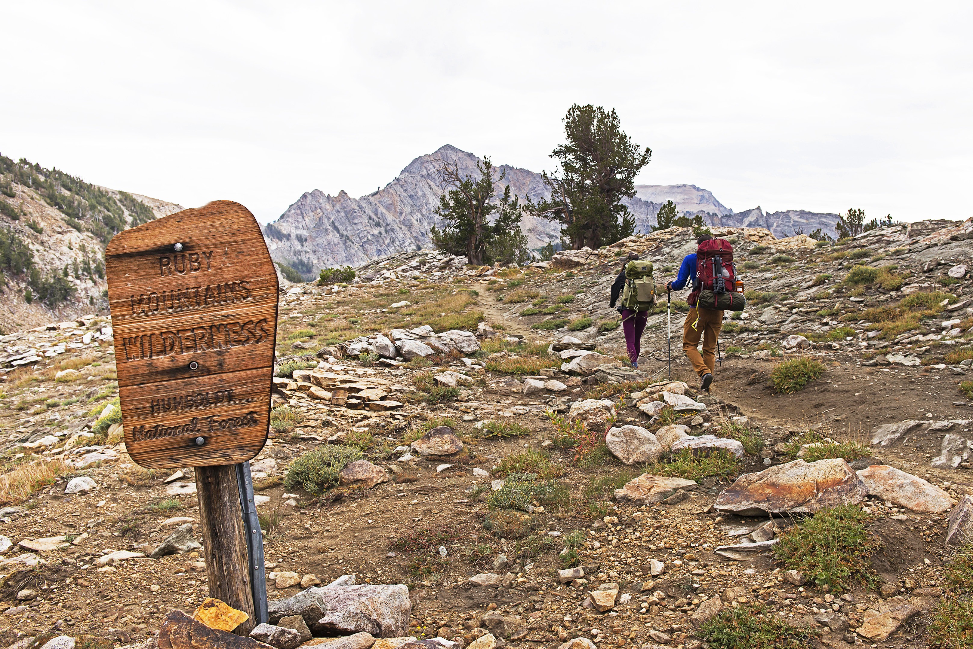 Ruby mountains store