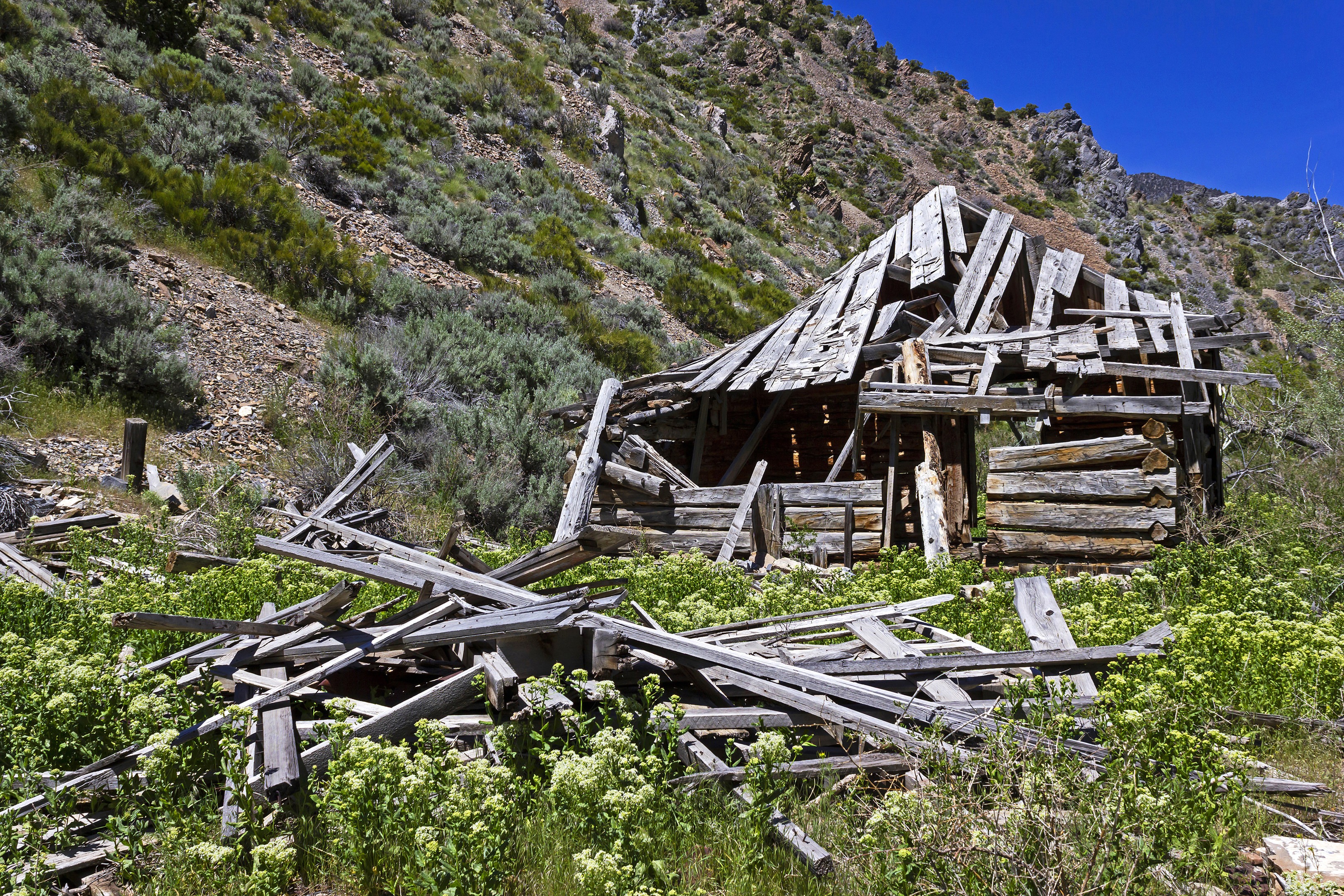 What to do in Utah - What to Do in Ophir