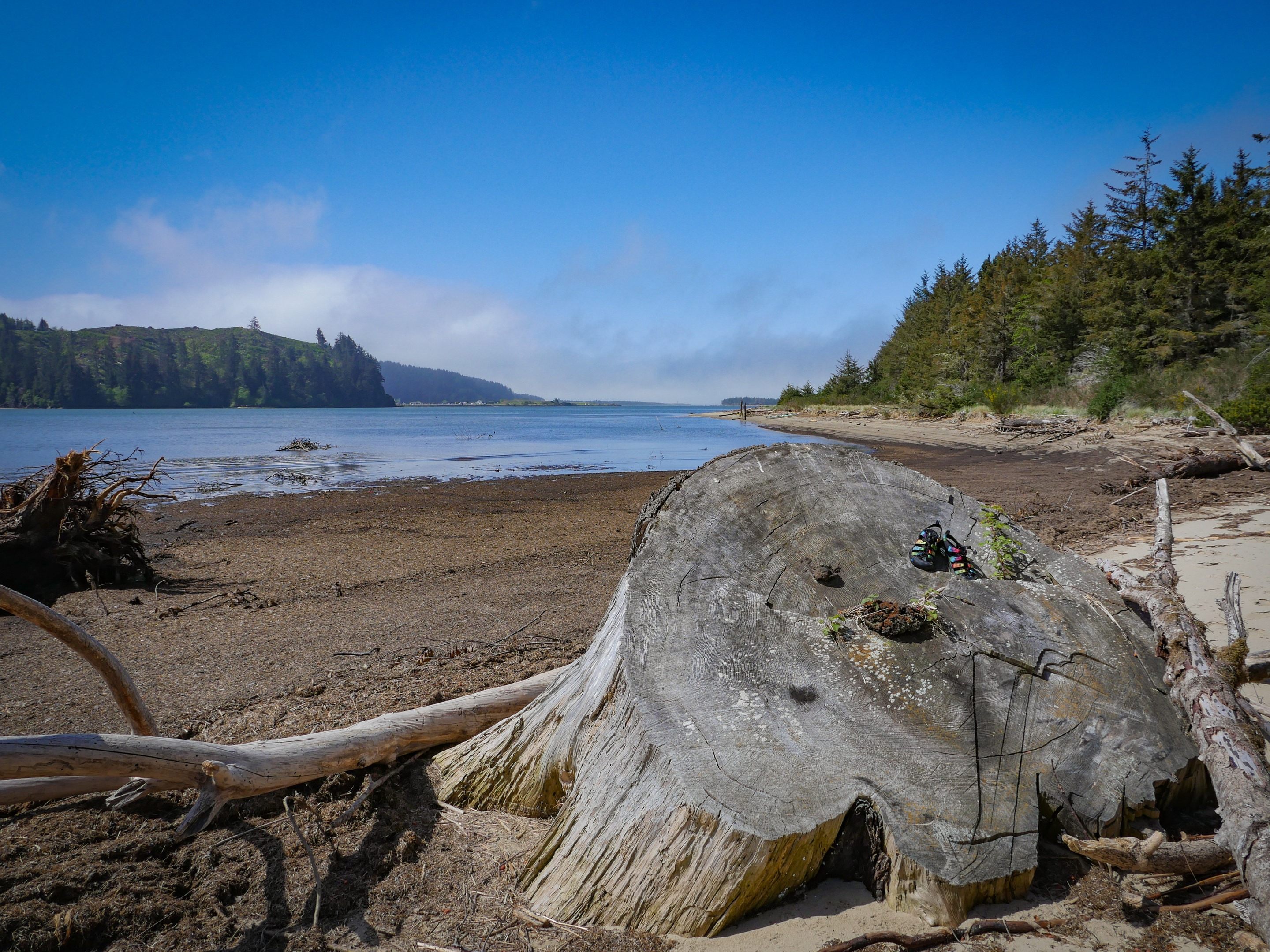 Lake Marie - Winchester Bay, OR - Fish Reports & Map