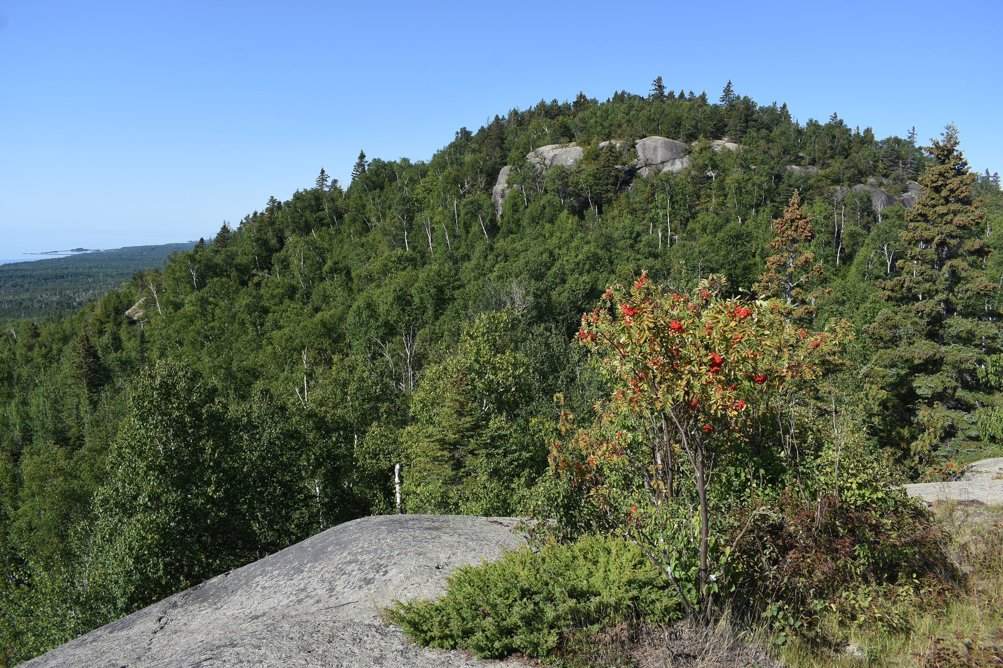 Carlton Peak Hike via Superior Hiking Trail Outdoor Project