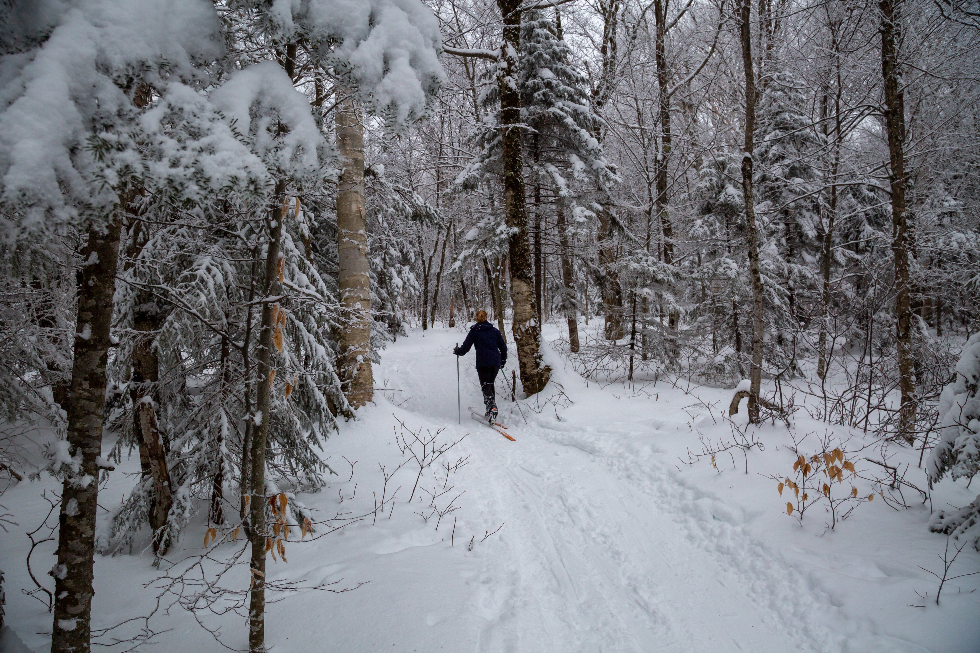 Backcountry And Nordic Skiing