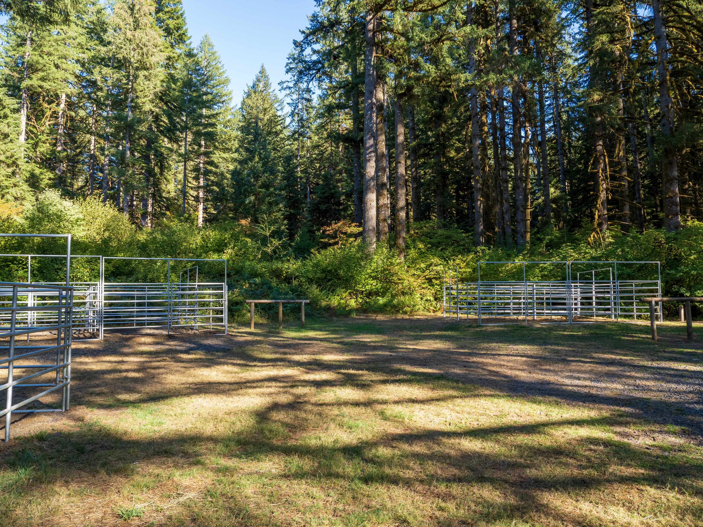 Paddle creek horse outlet camp