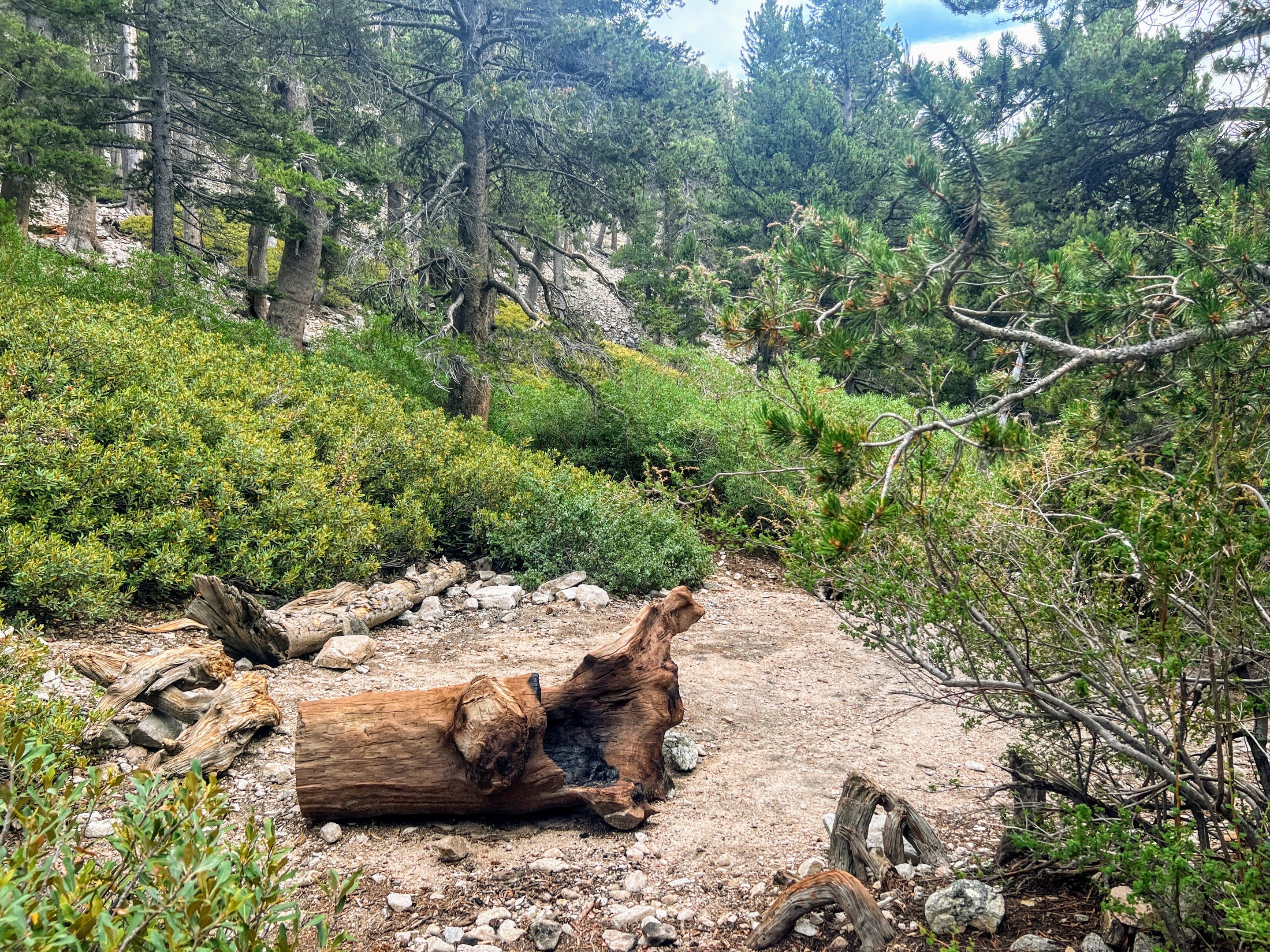 High creek camp outlet san gorgonio