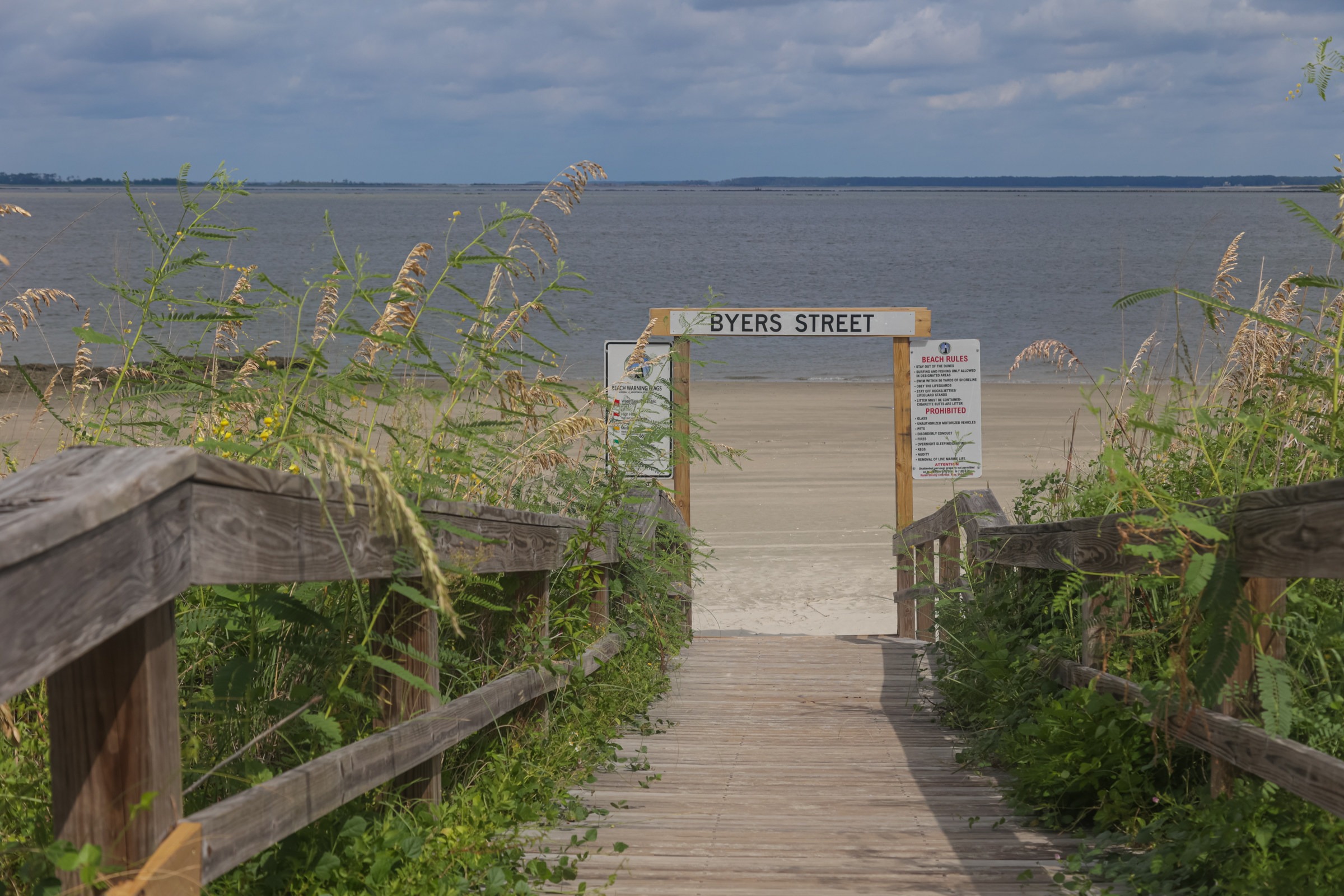 are dog allowed on beaches tybee island