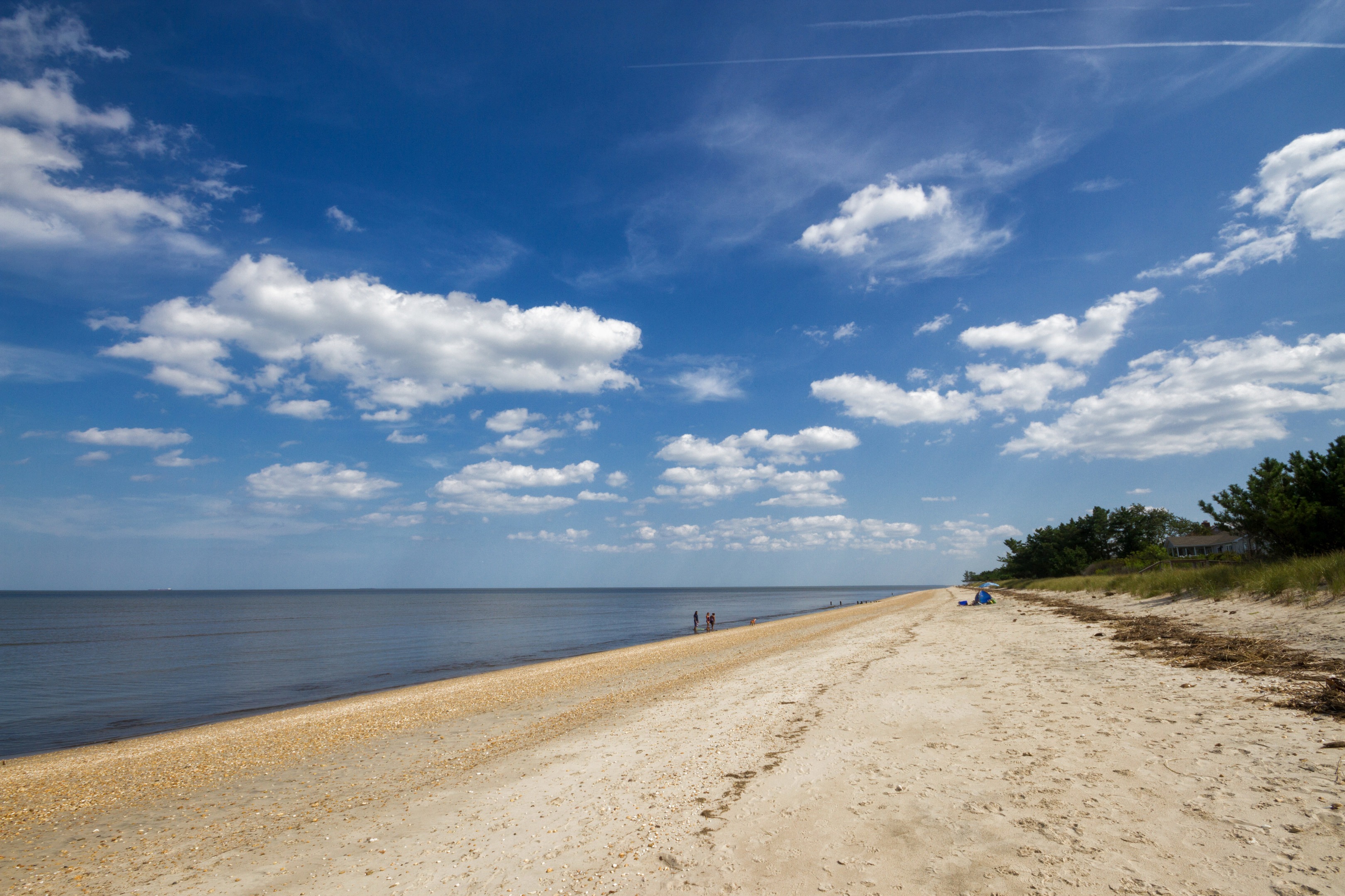 10 Best Family-Friendly Beaches in Delaware (With Fun Activities)