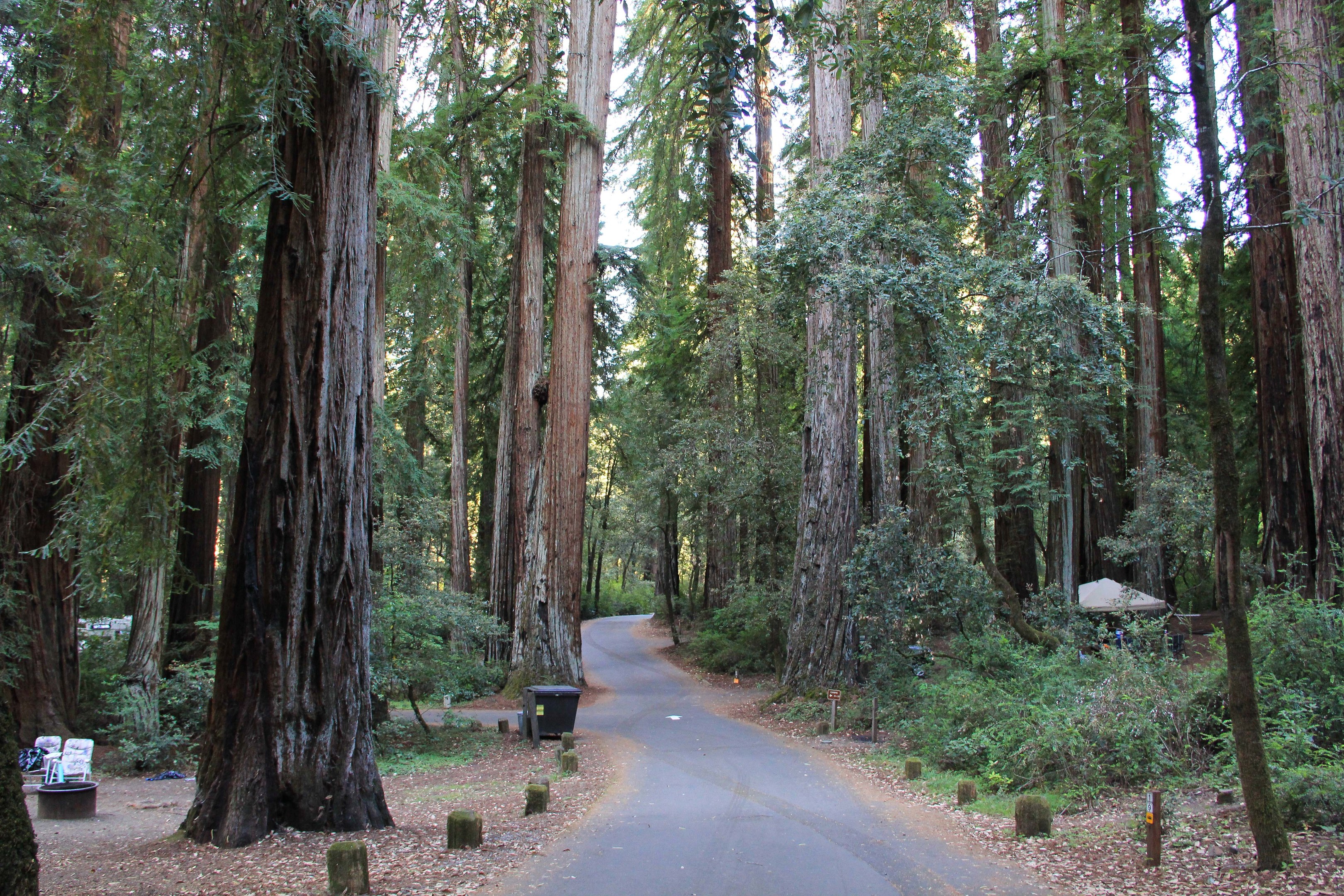 Huckleberry Campground Outdoor Project