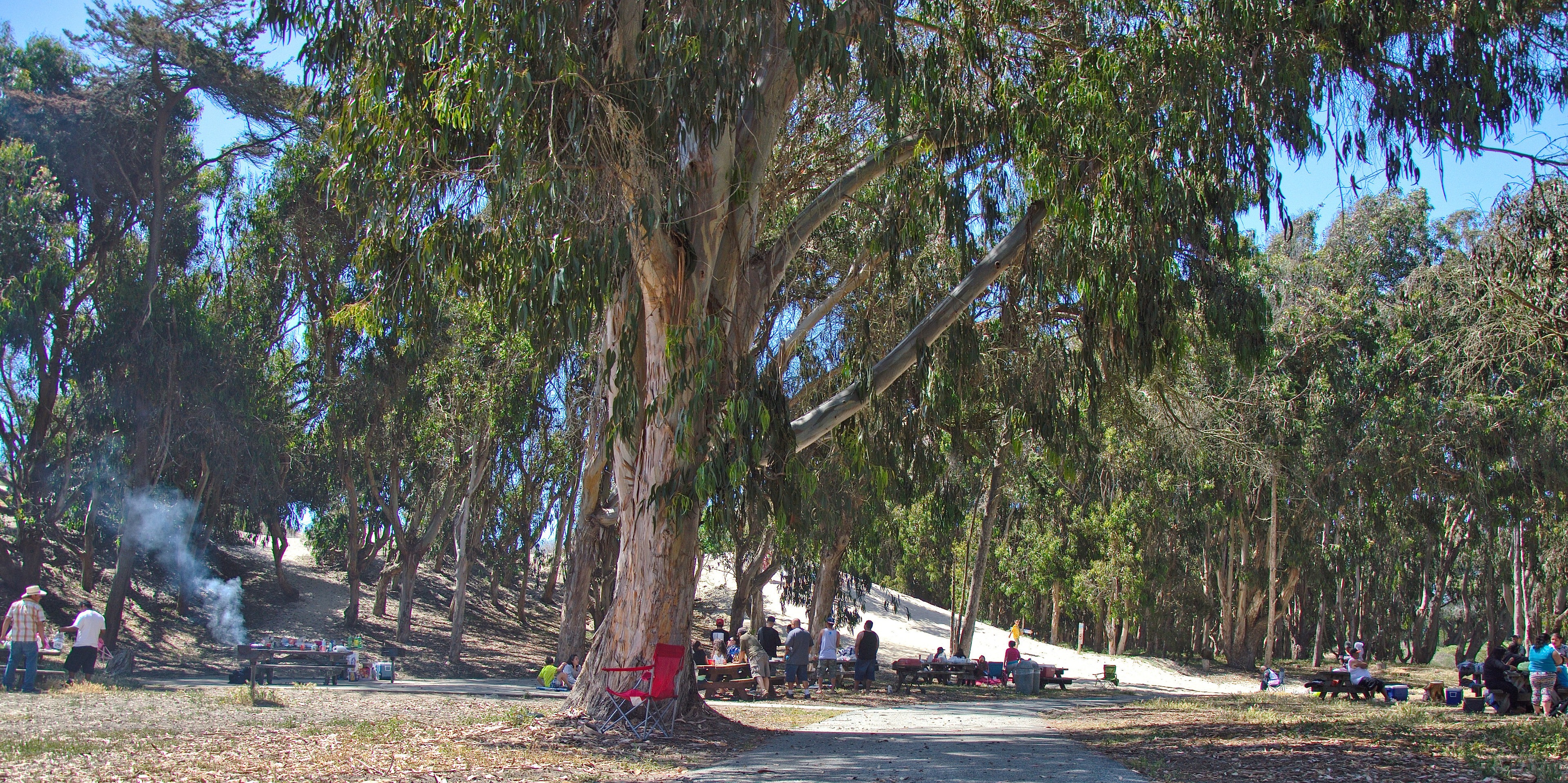 Palm Beach, Watsonville, CA: A Hidden Gem of Coastal Beauty and Cultural Richness