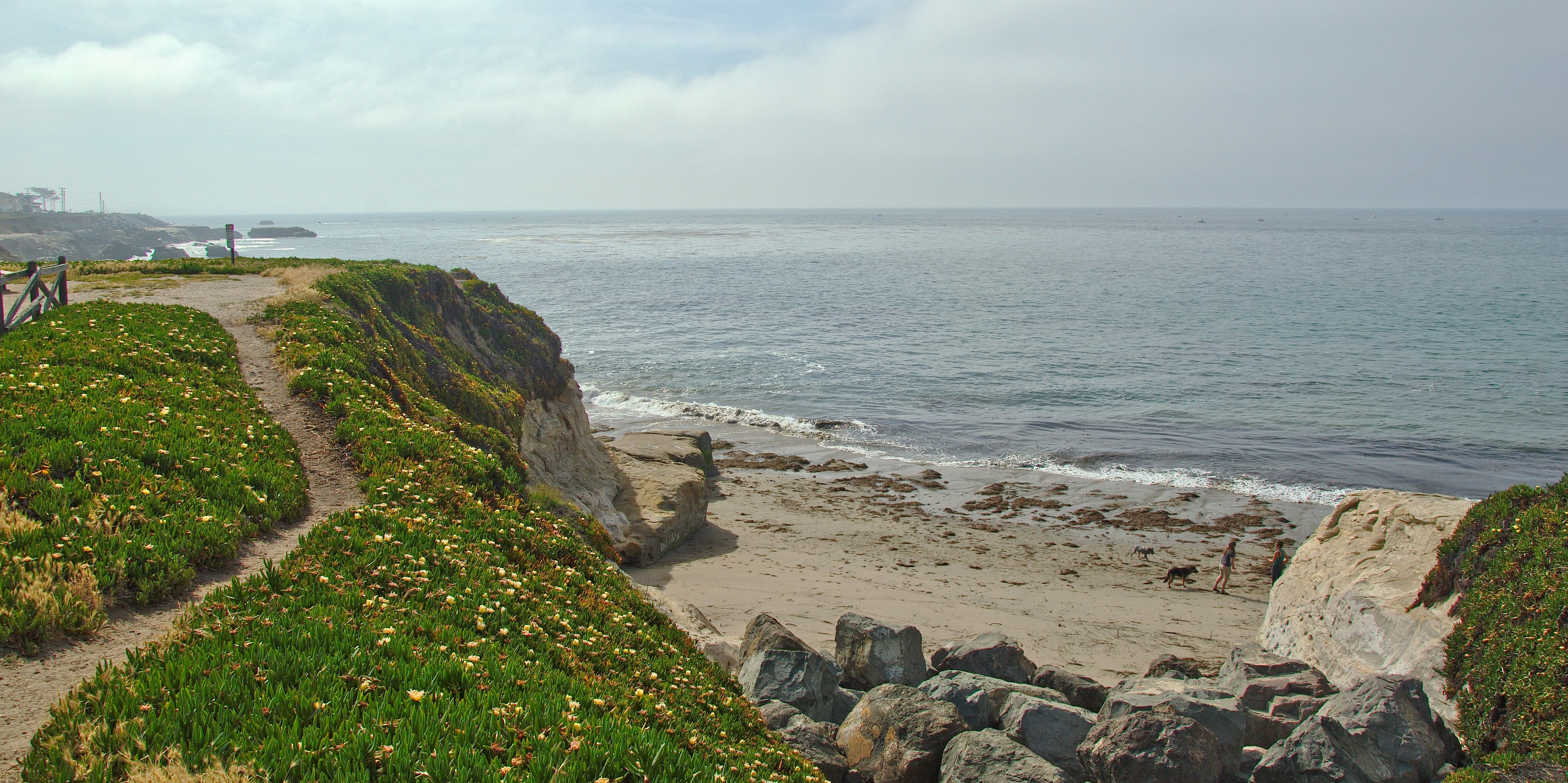 Mitchell s Cove Beach Outdoor Project