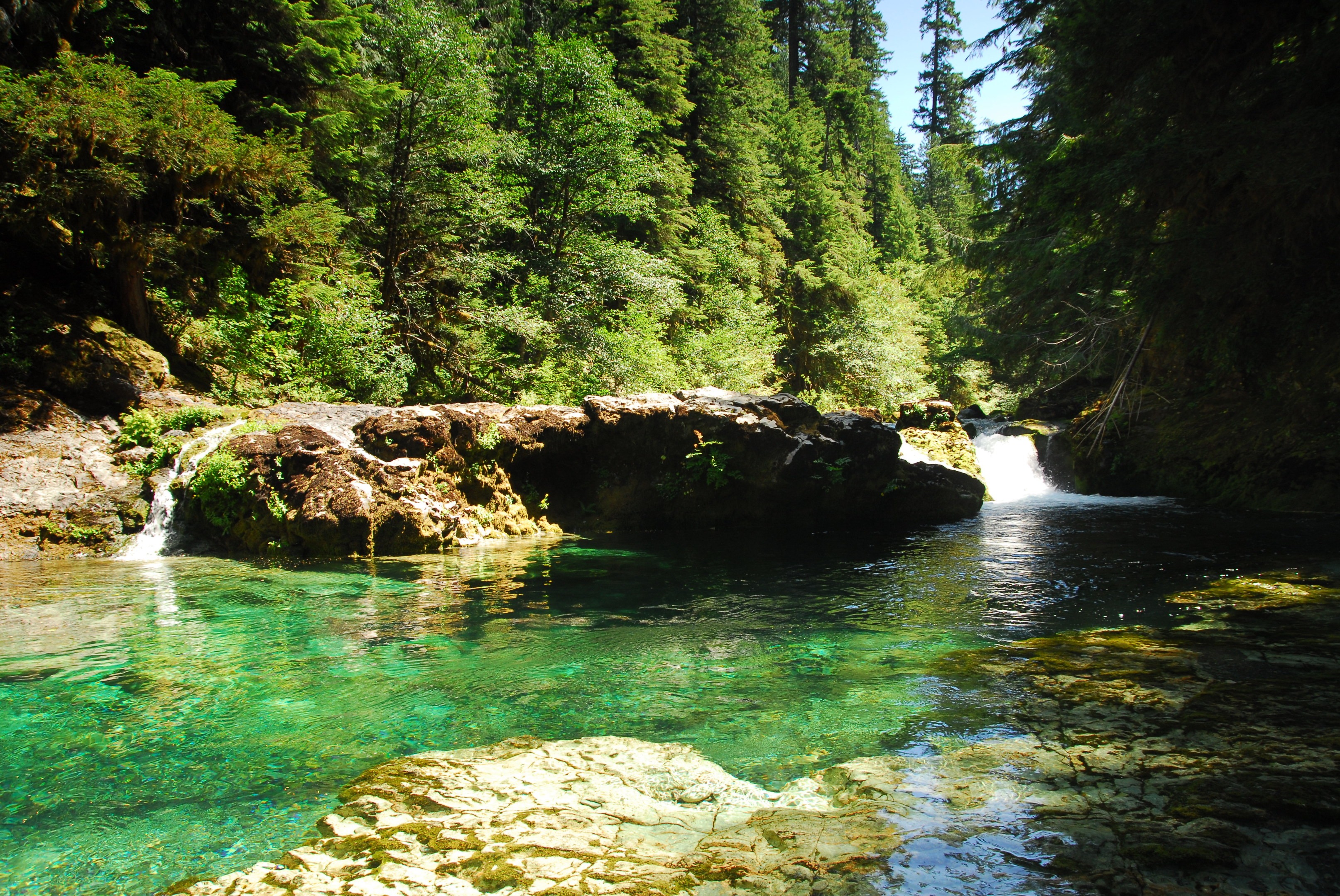 Opal creek outlet wilderness hike