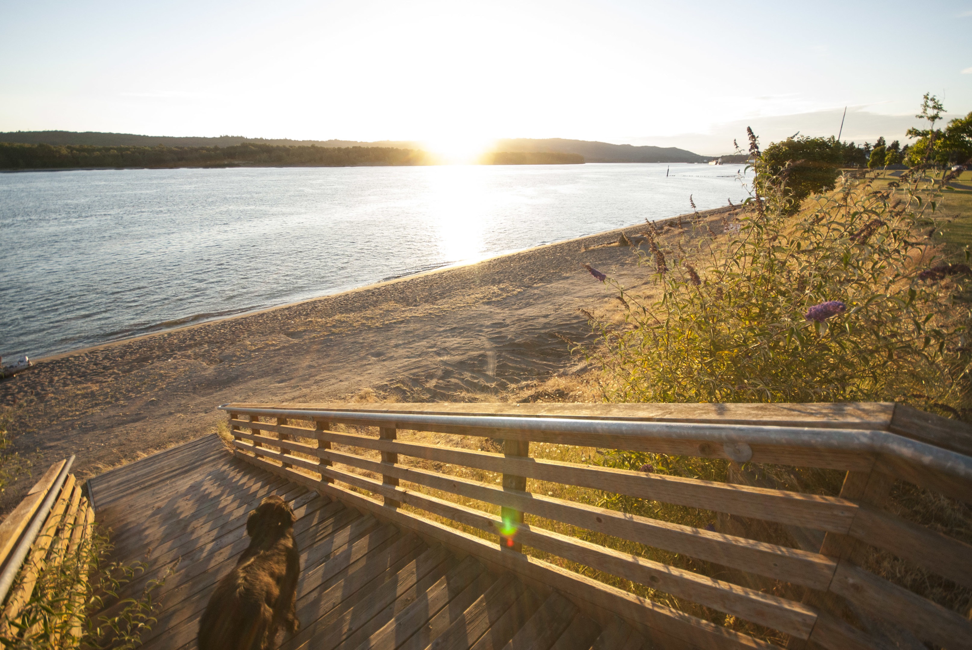 Louise Rasmussen Beach Park: A Hidden Gem for Travelers