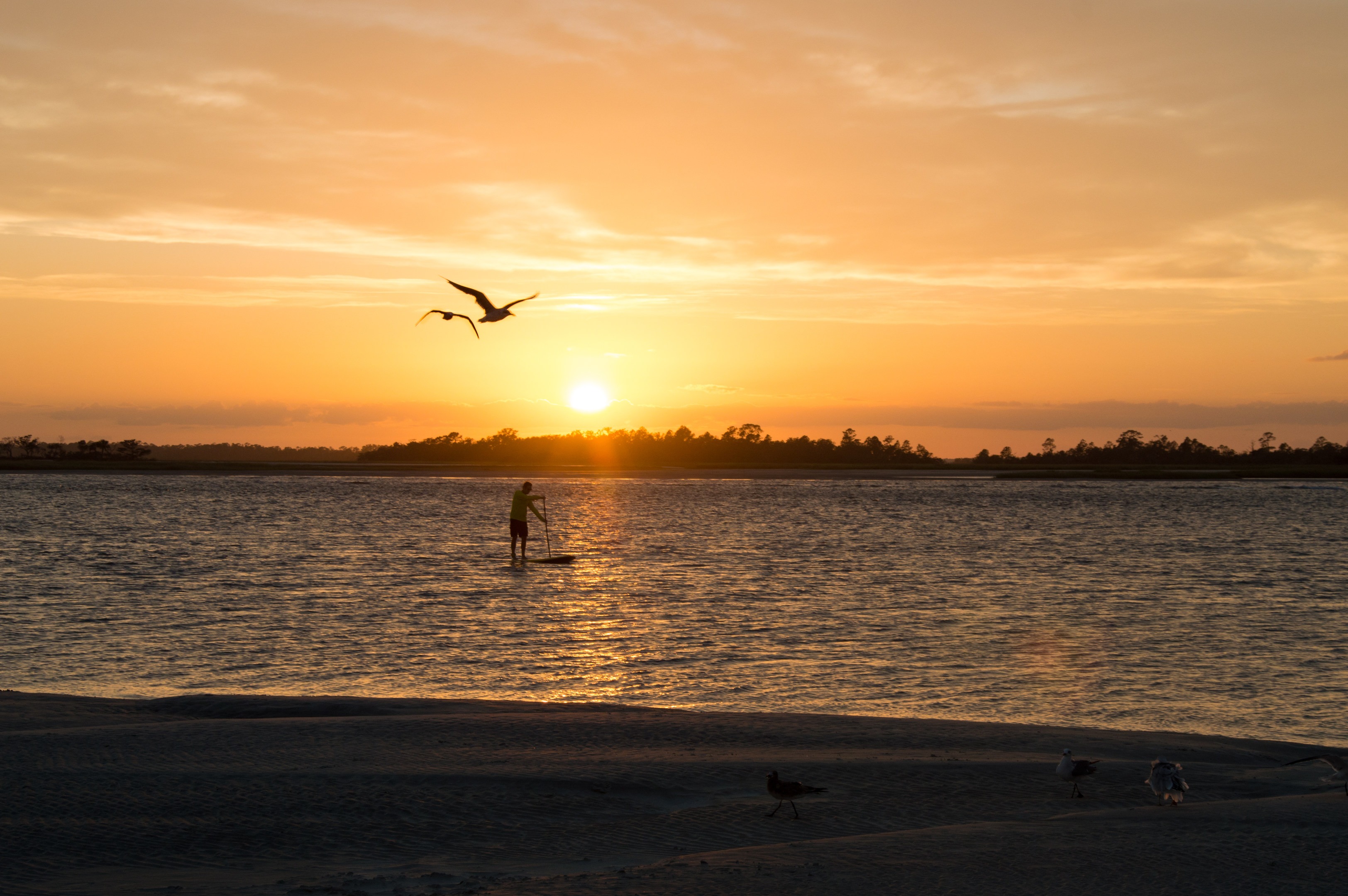 Back River Beach Tybee Island Directions: Your Ultimate Guide to a Serene Coastal Escape