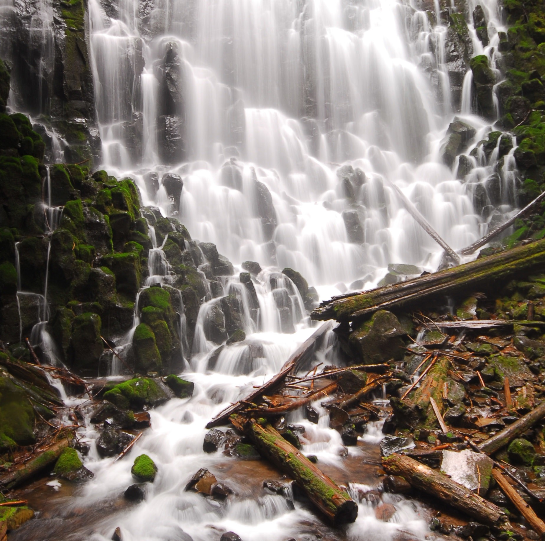 Ramona Falls Hike Outdoor Project