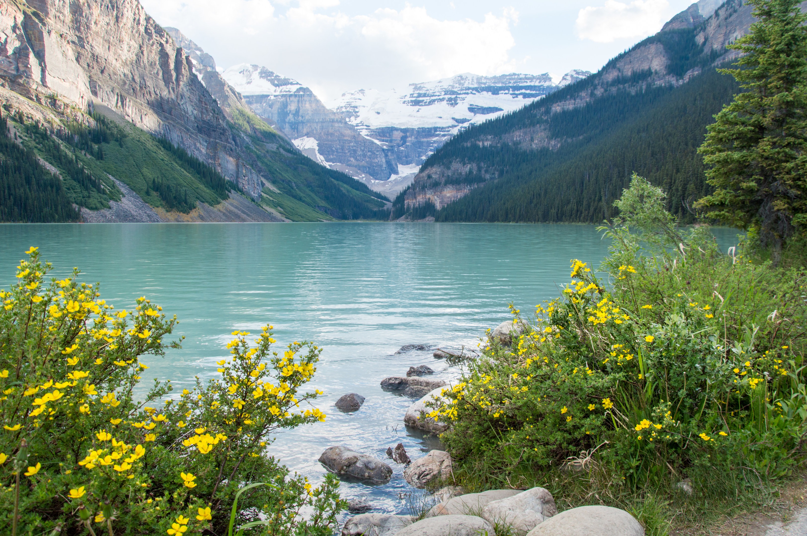 Lake Louise Lakeshore – a Guide to the Back of The Lake