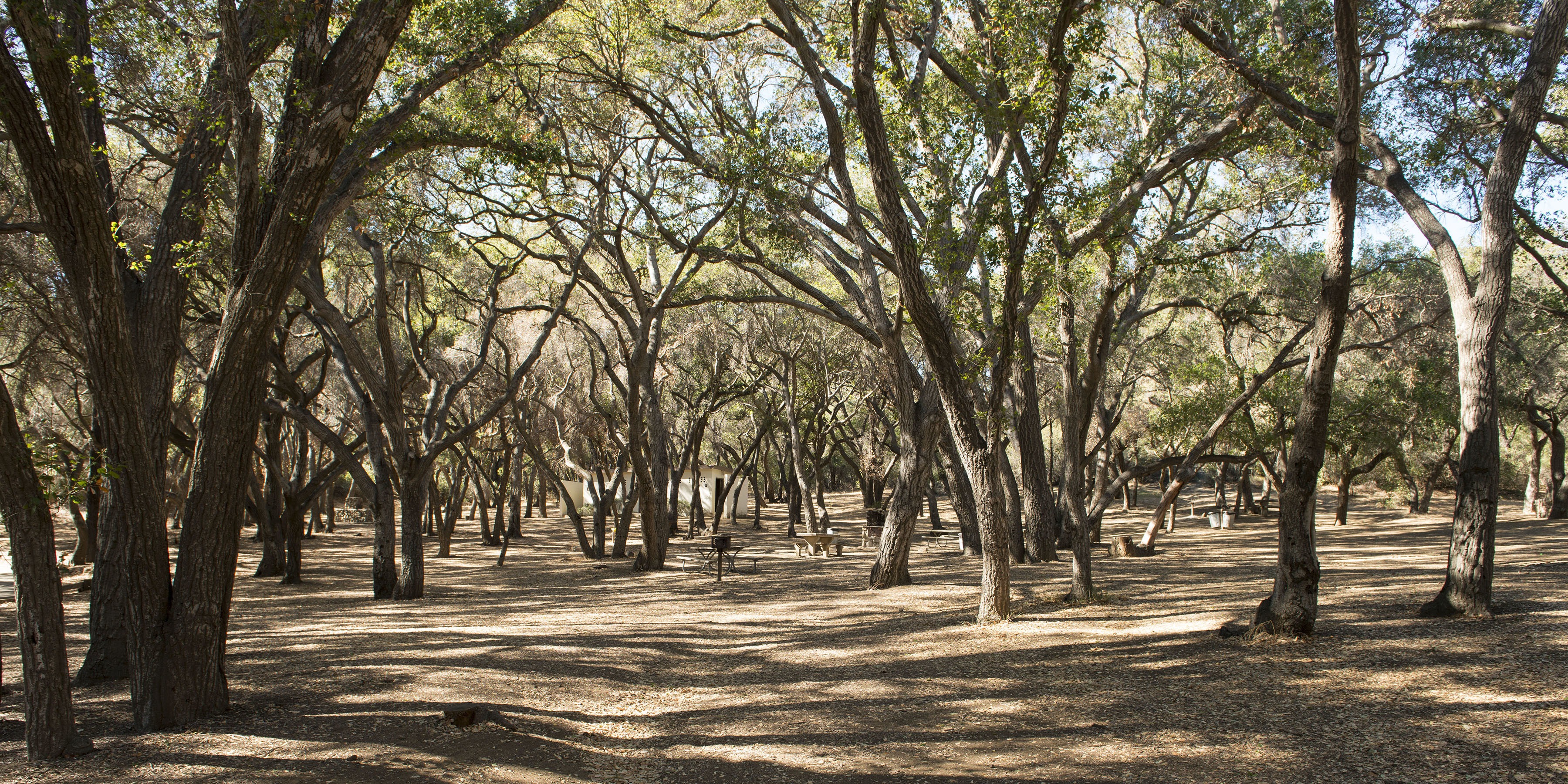 Tapia Park Day Use Area | Outdoor Project