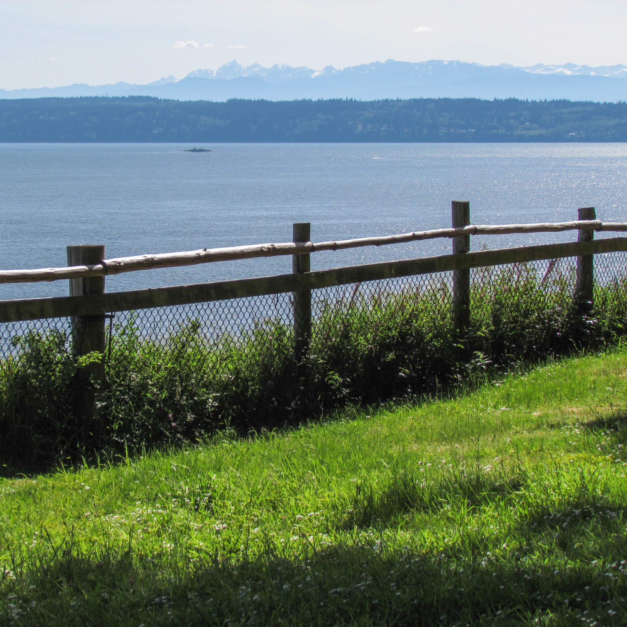 are dogs allowed at camano island state park