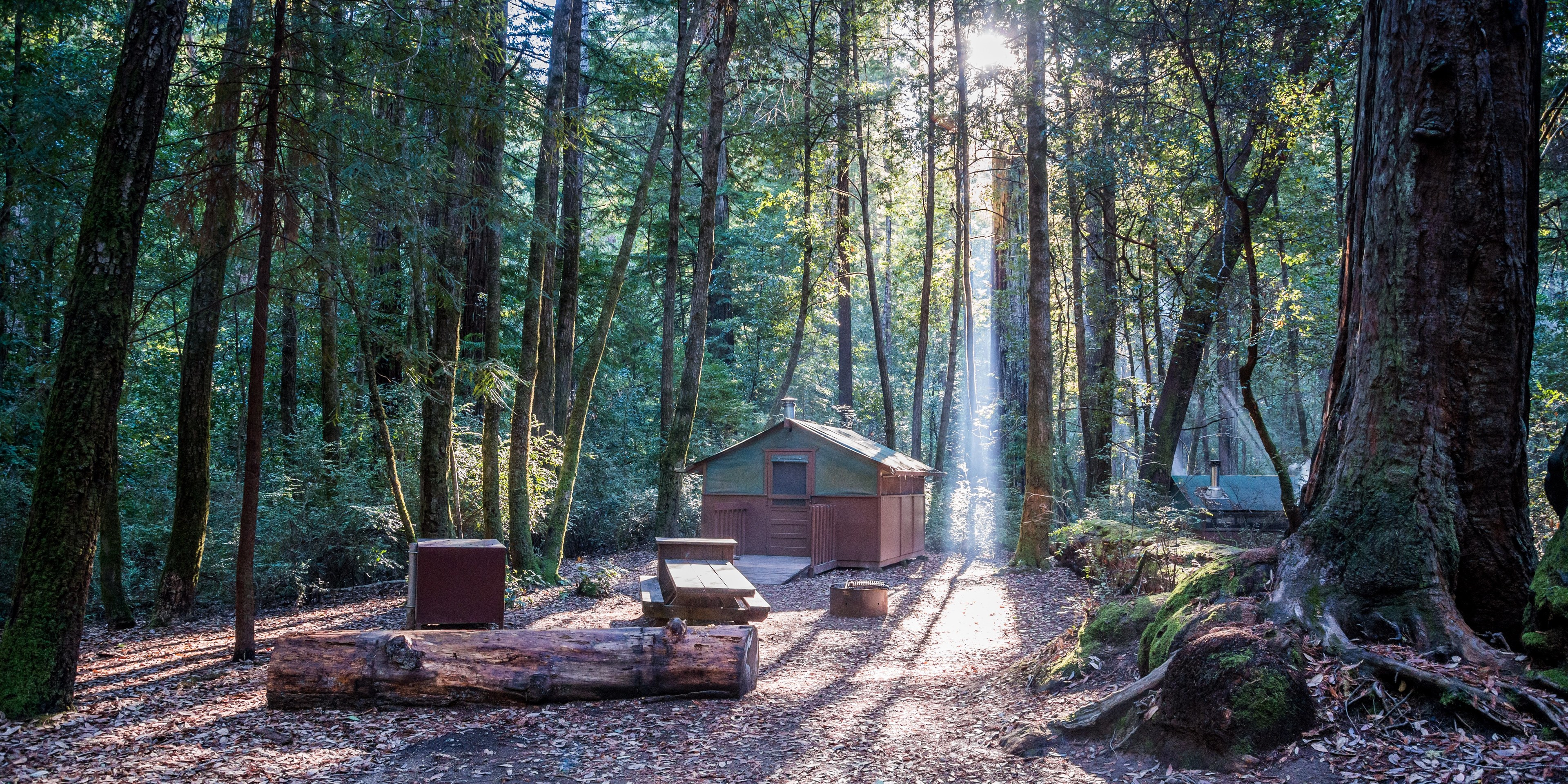 Big basin shop tent cabins