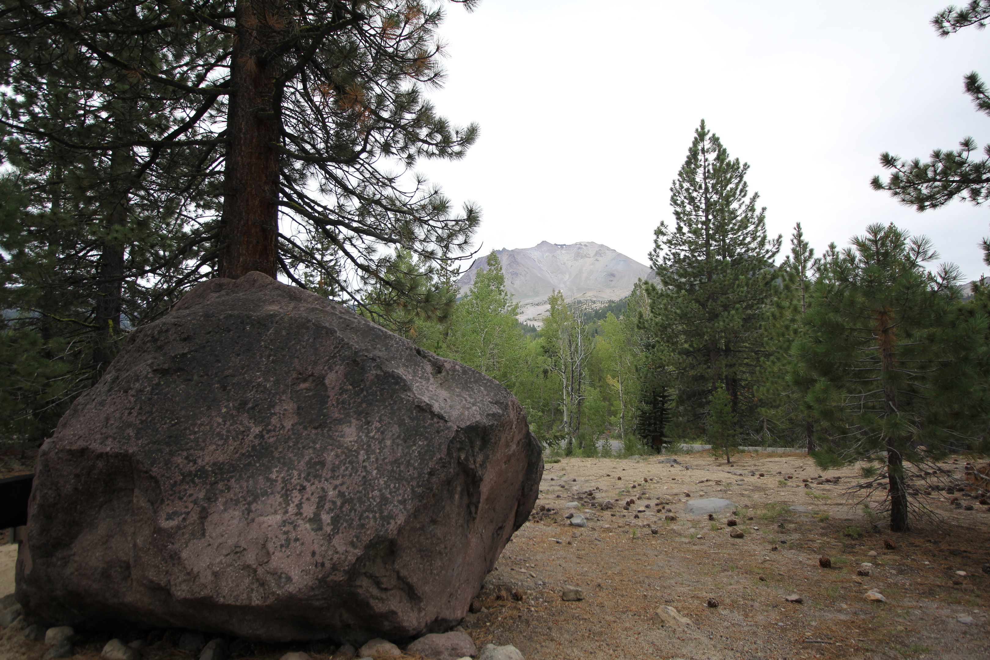 Devastated Area Trail in Lassen Volcanic National Park — Flying Dawn Marie