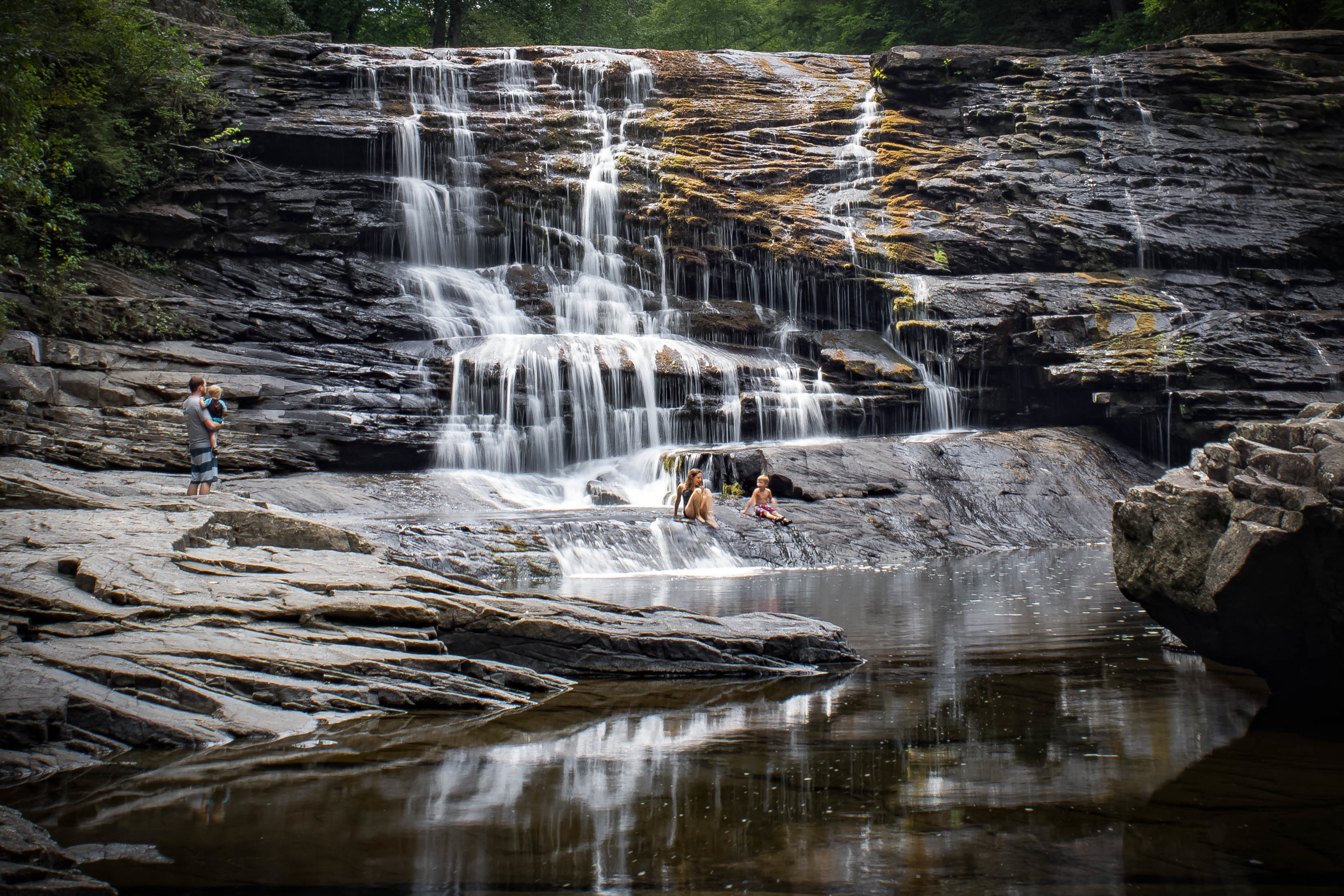 are dogs allowed at fall creek falls state park