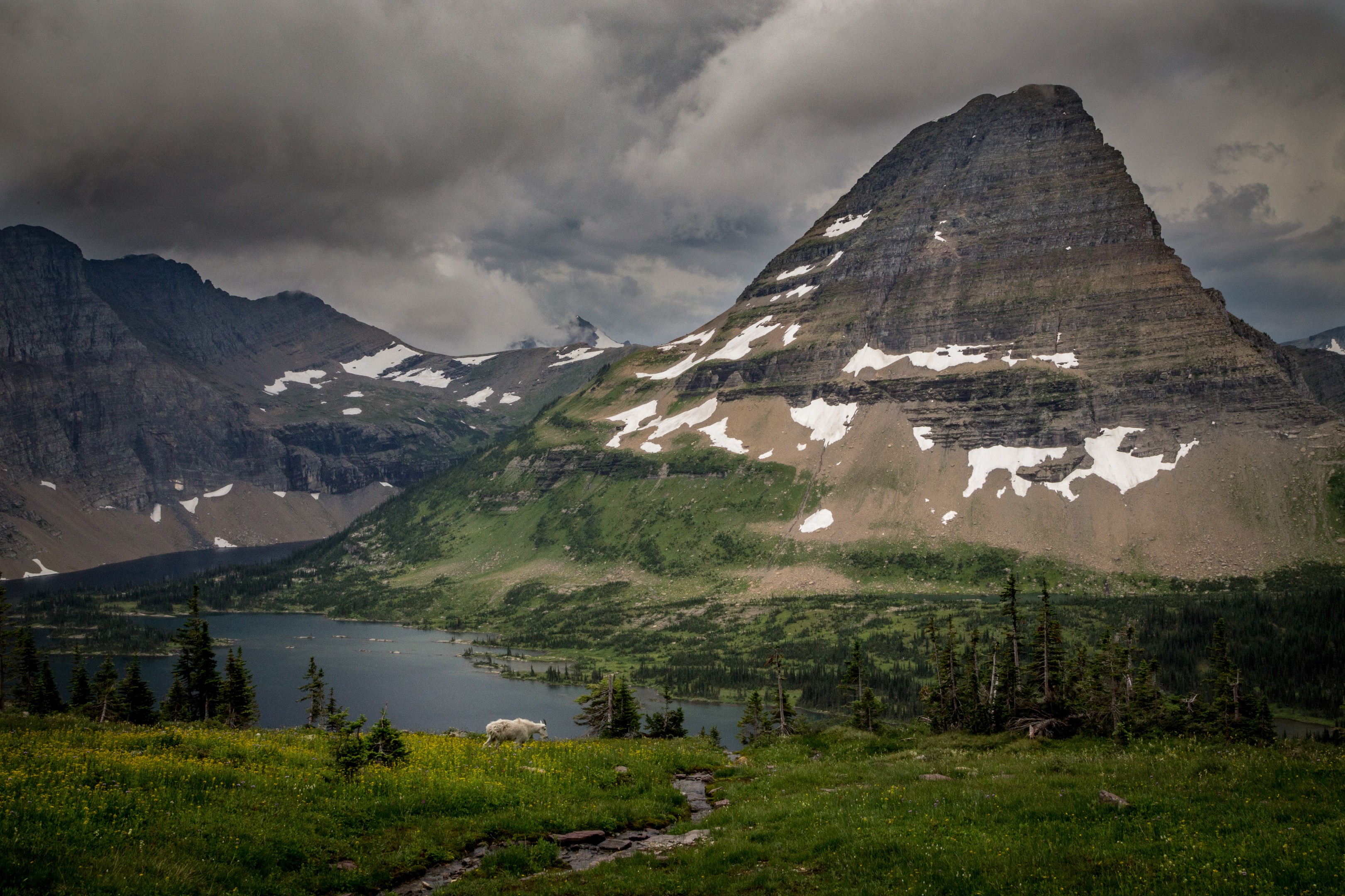 The Ultimate Western National Parks Road Trip