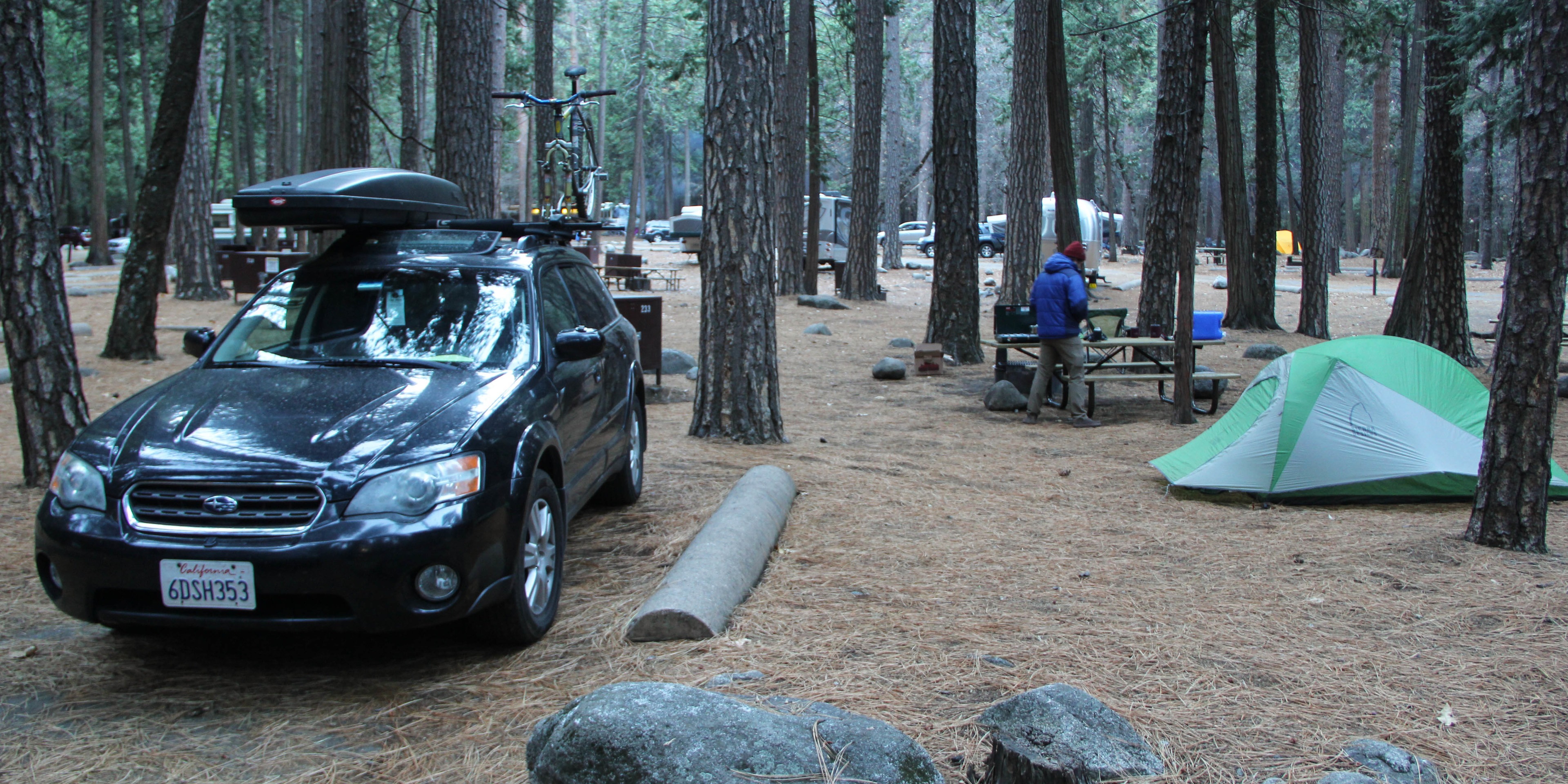 are dogs allowed in yosemite campgrounds